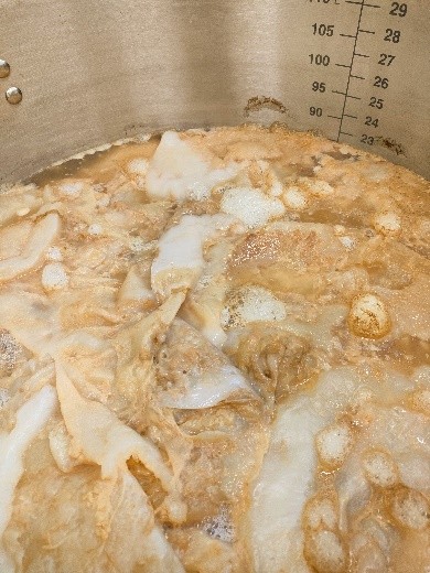 SCOBYの将来はいかに？？