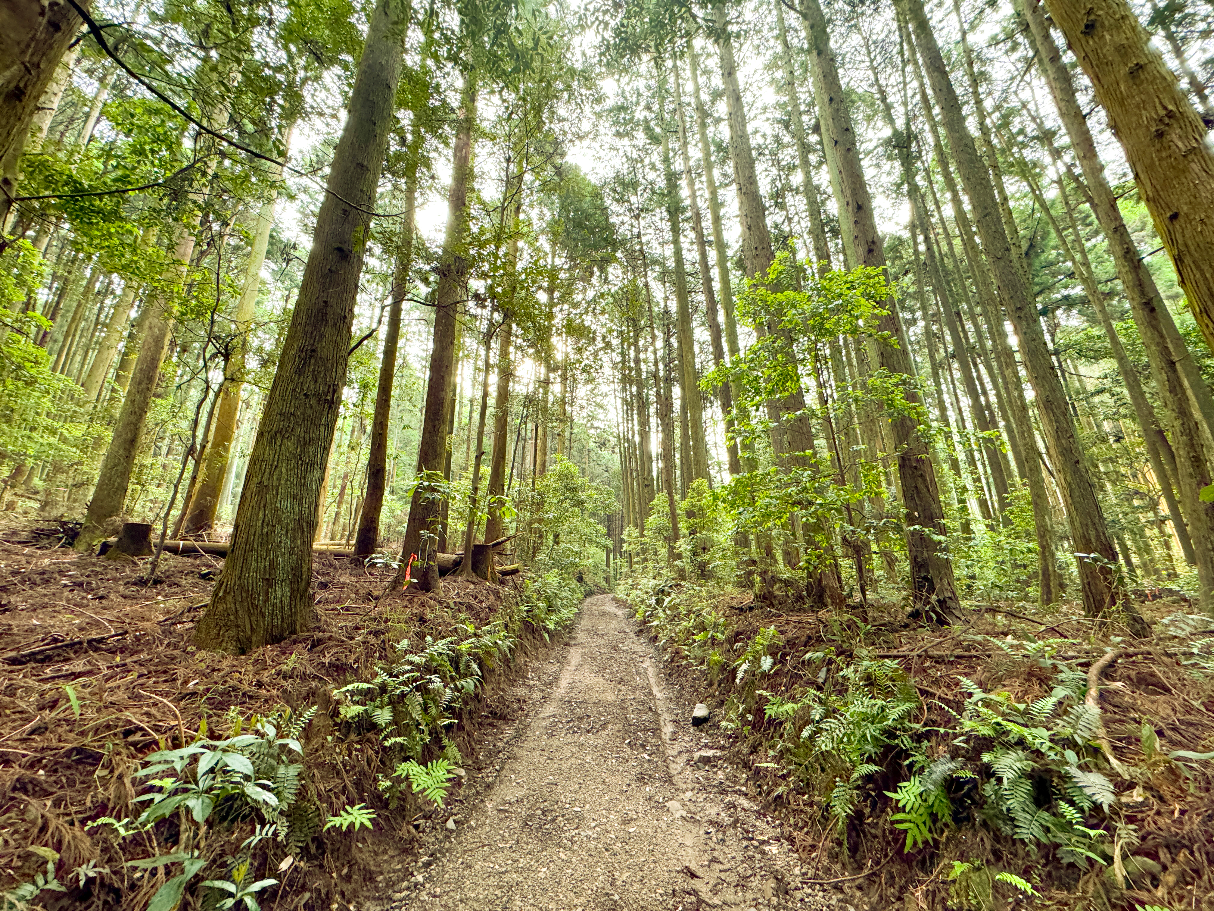 VOGUE風30の質問答えてみた | 代表 中村 就 編