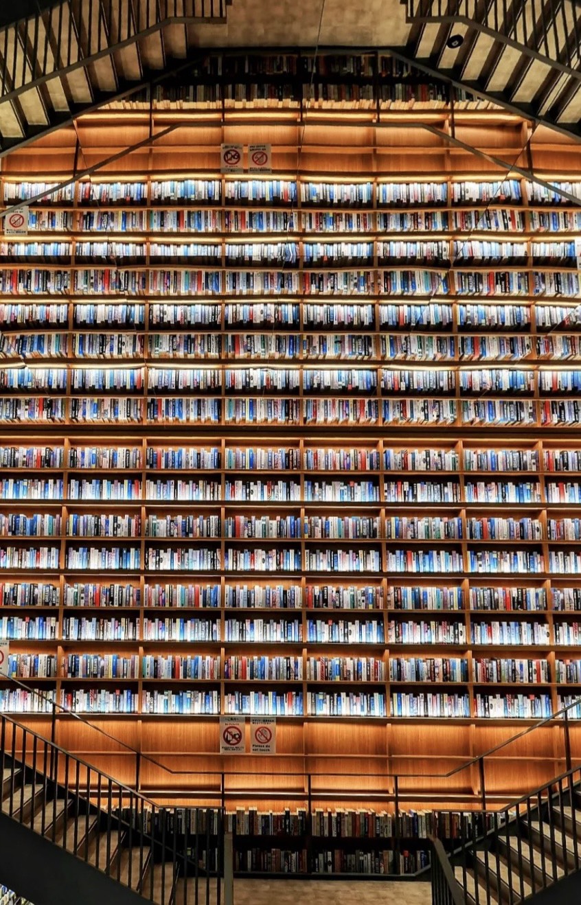 wewicインターンで期待を超える成長を実感！！