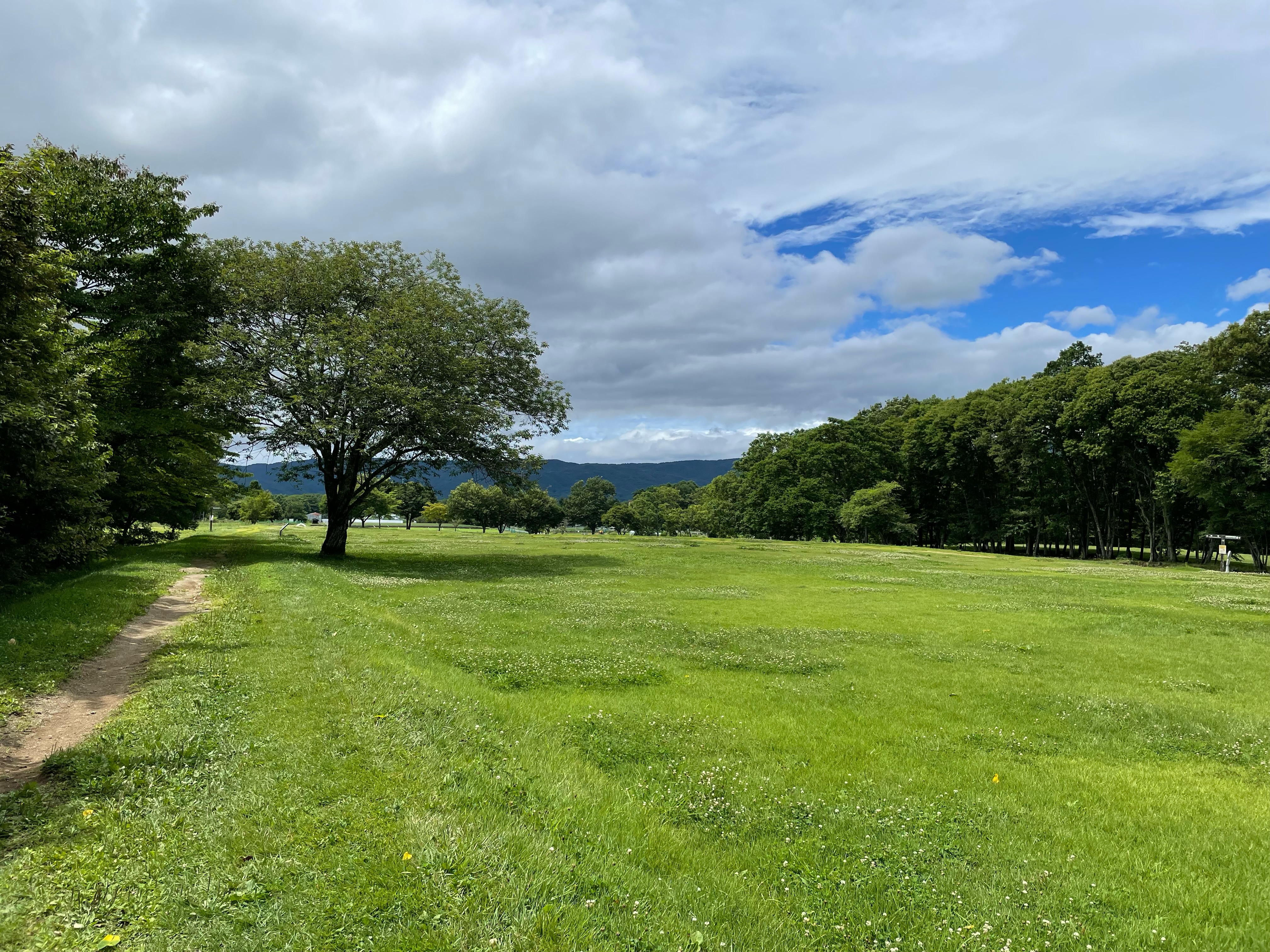 現場から組織へ。医療・介護の「回る仕組み」をつくってきました