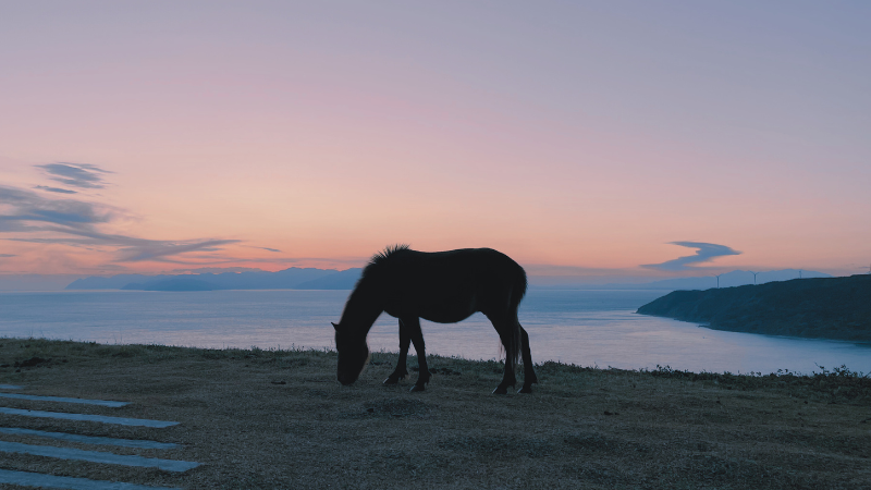 新年のご挨拶｜2026