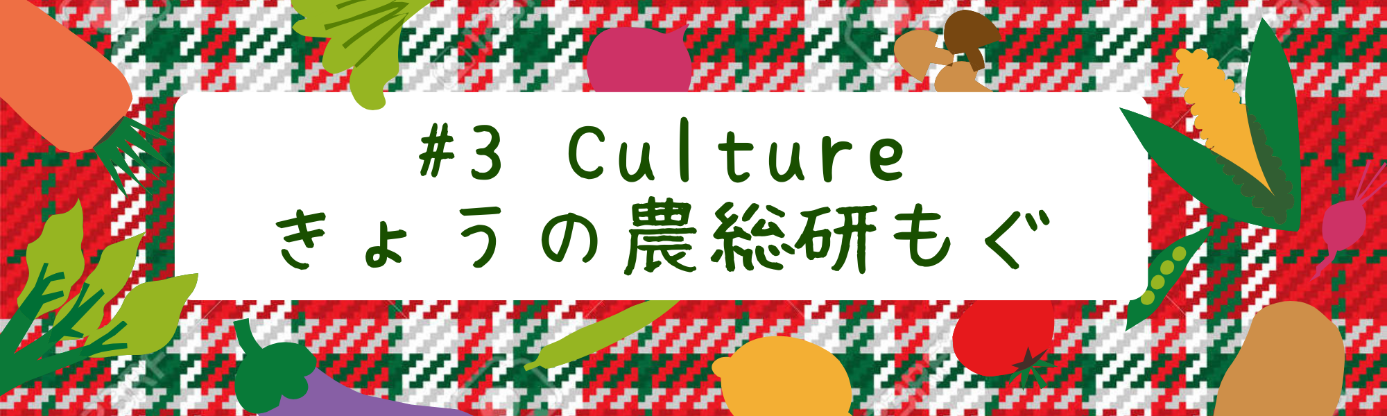 🎄今日の農総研もぐ🎅