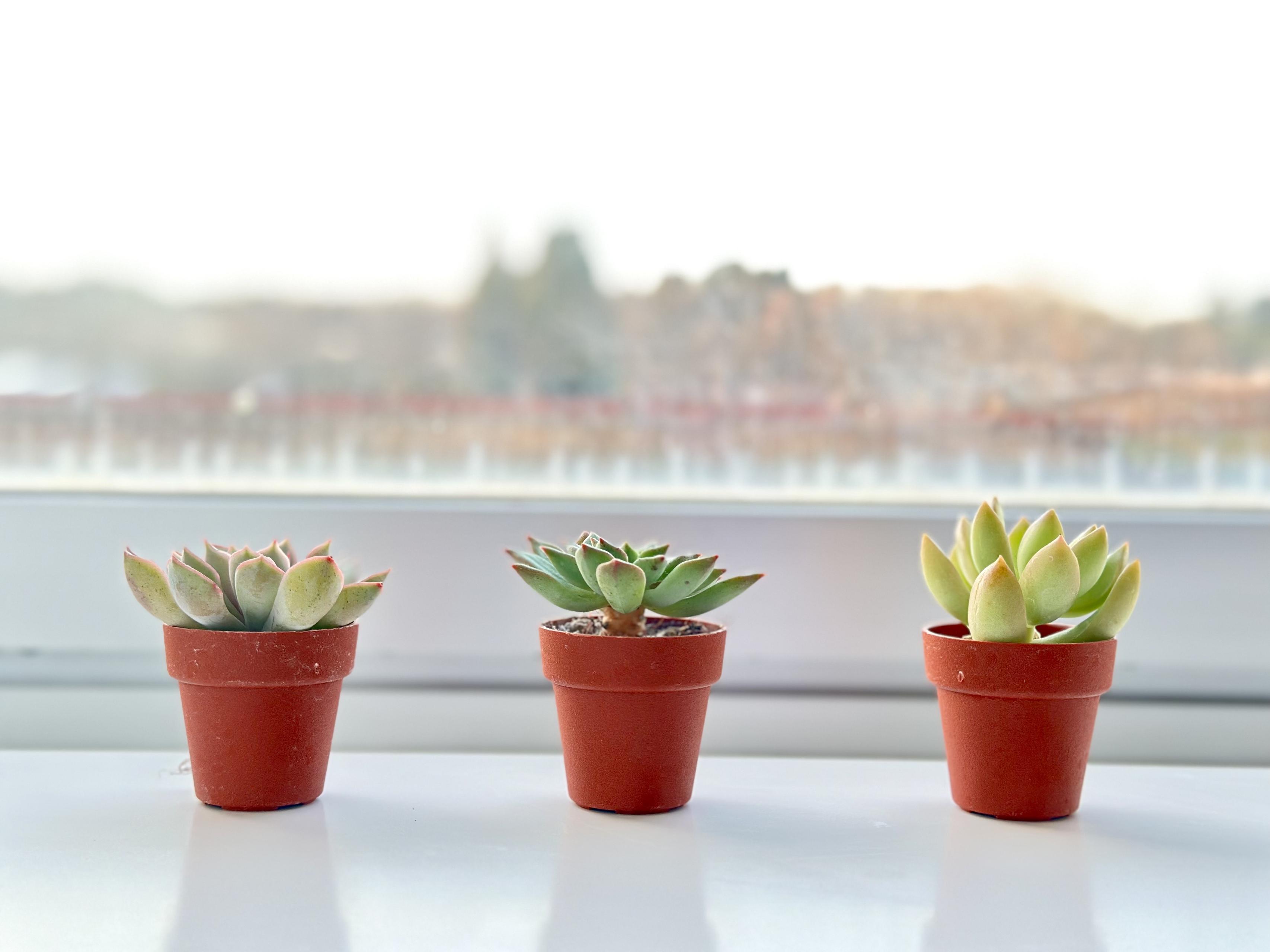 【インタビュー】フィリピンの外国籍従業員に直撃！富山編②