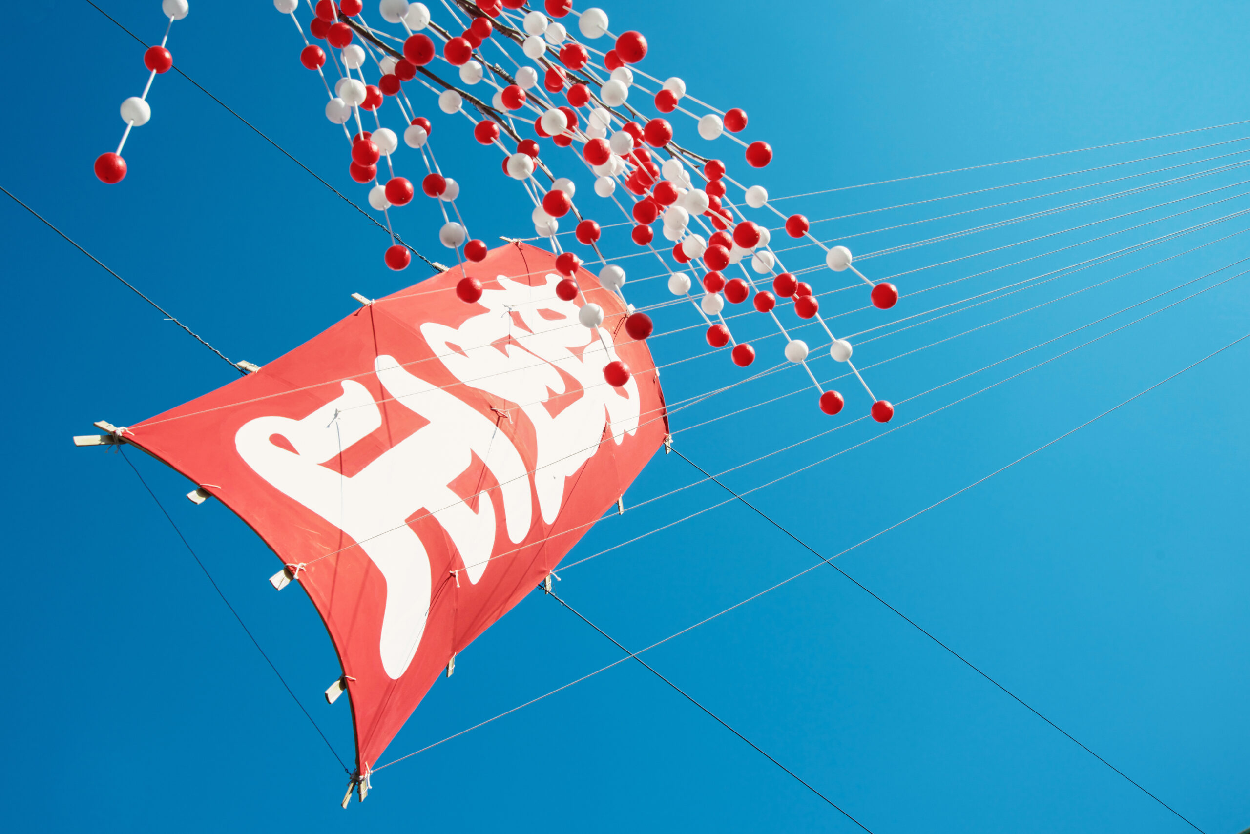 2026年もいよいよスタートしました！