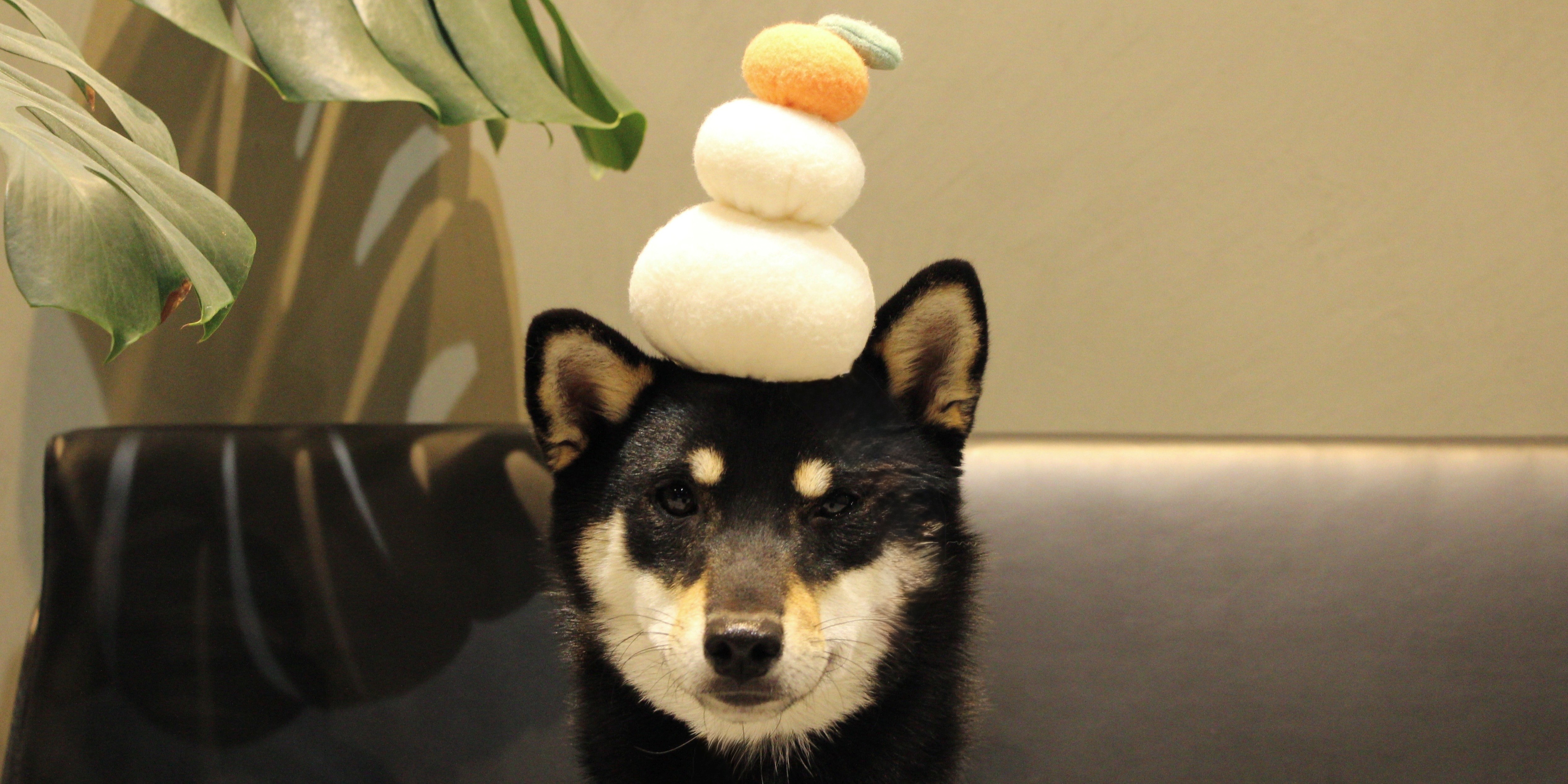 2026年　あけましておめでとうございます！