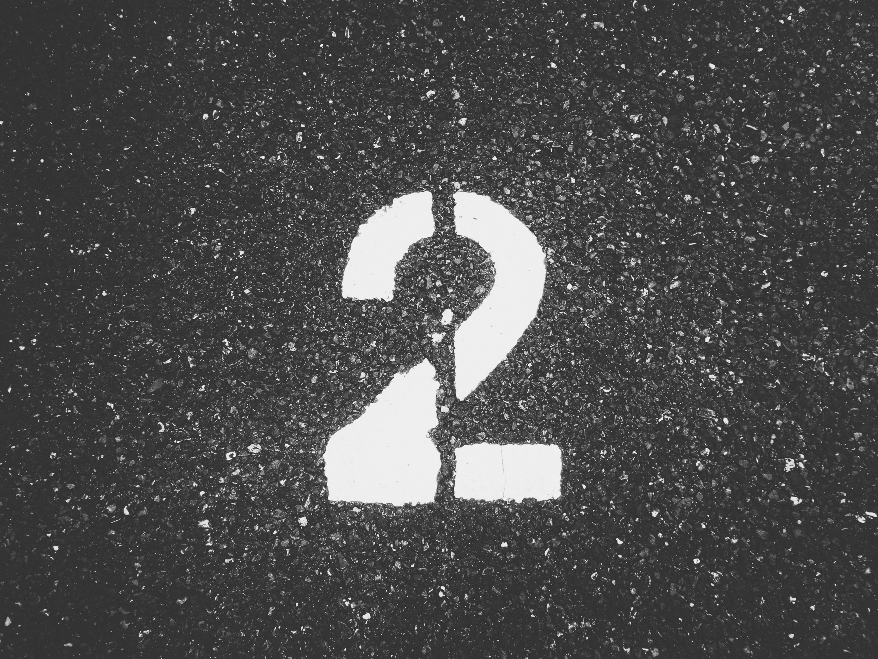 採用担当、2年生になりました！