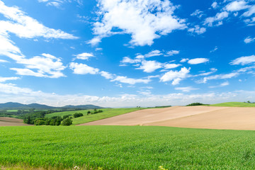 社長が見る、この対話の価値