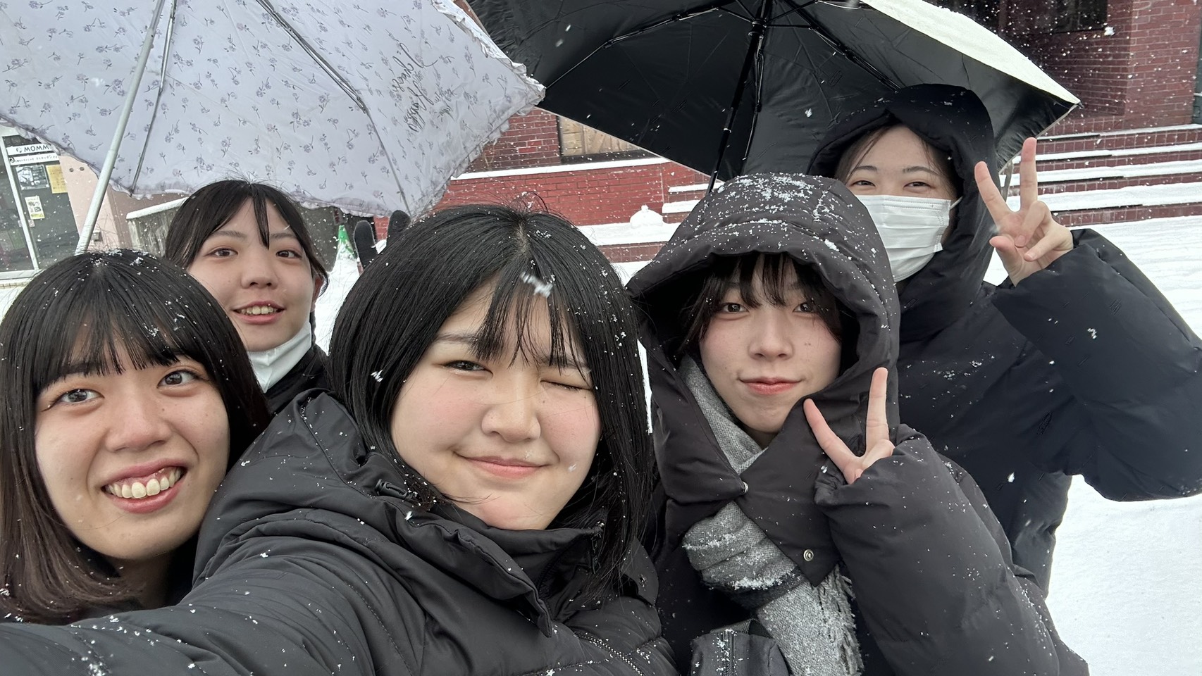 出張案件 in北海道　行ってきました✈️