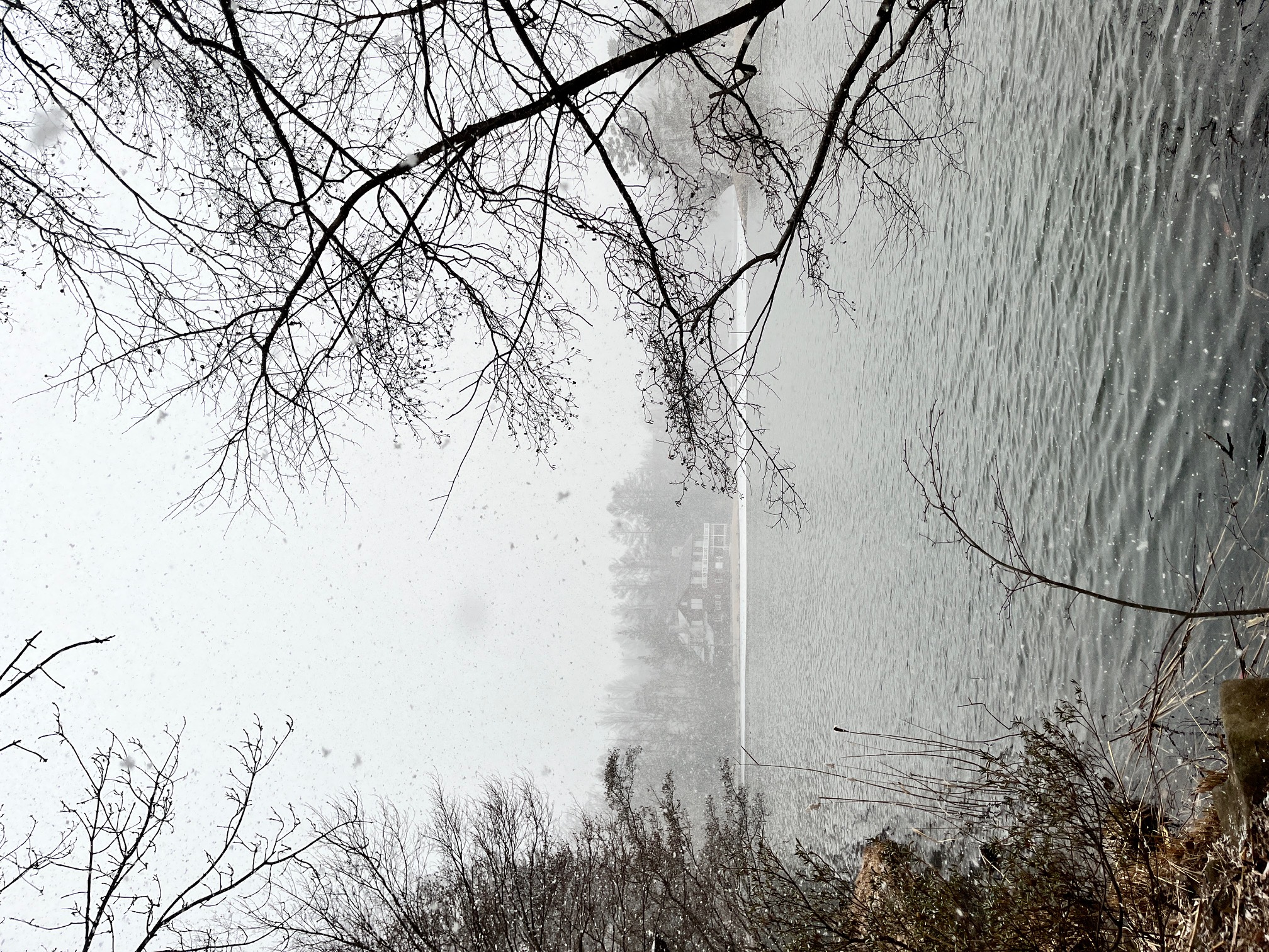 2026年の抱負/ Ambitions for 2026