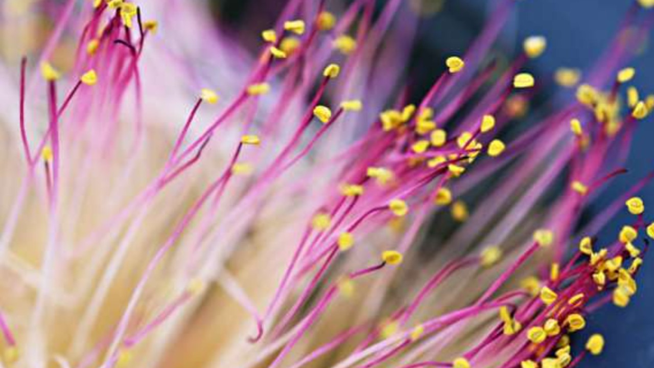 【INSIDE THE impact】インパクトポロを「古着deワクチン」へ。私たちがこの取り組みを続ける理由