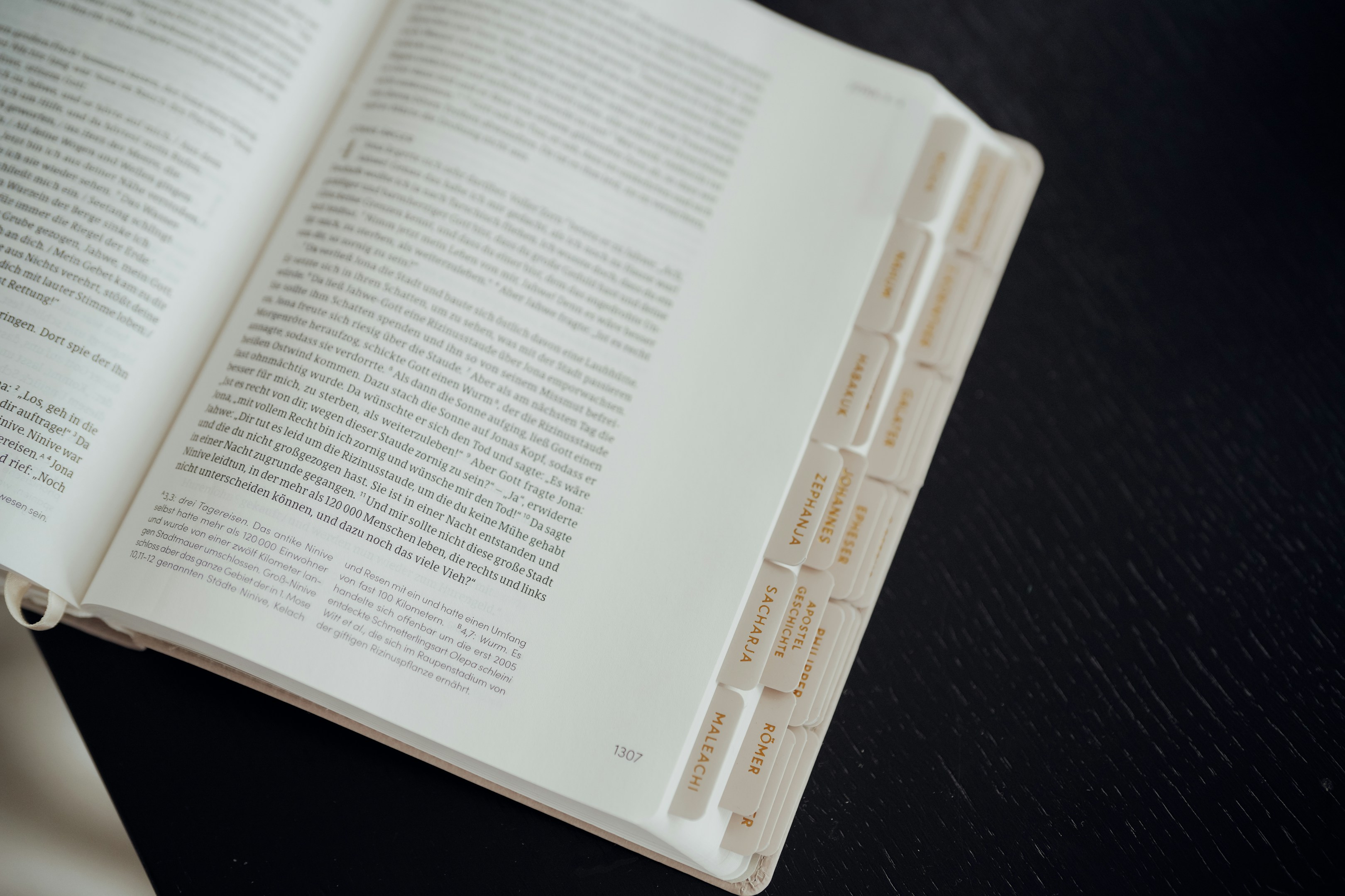 代表 奥園健一が語る未来像