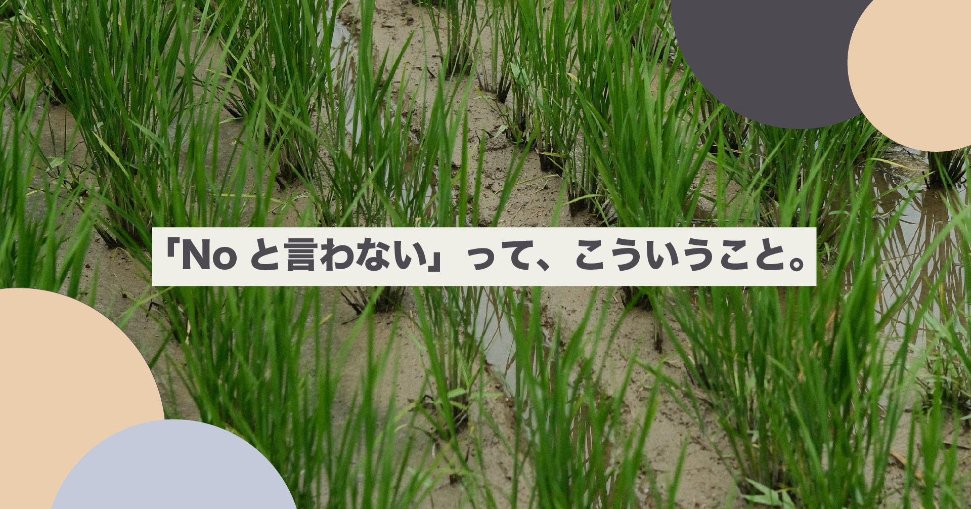 「NOと言わない」って、こういうこと。