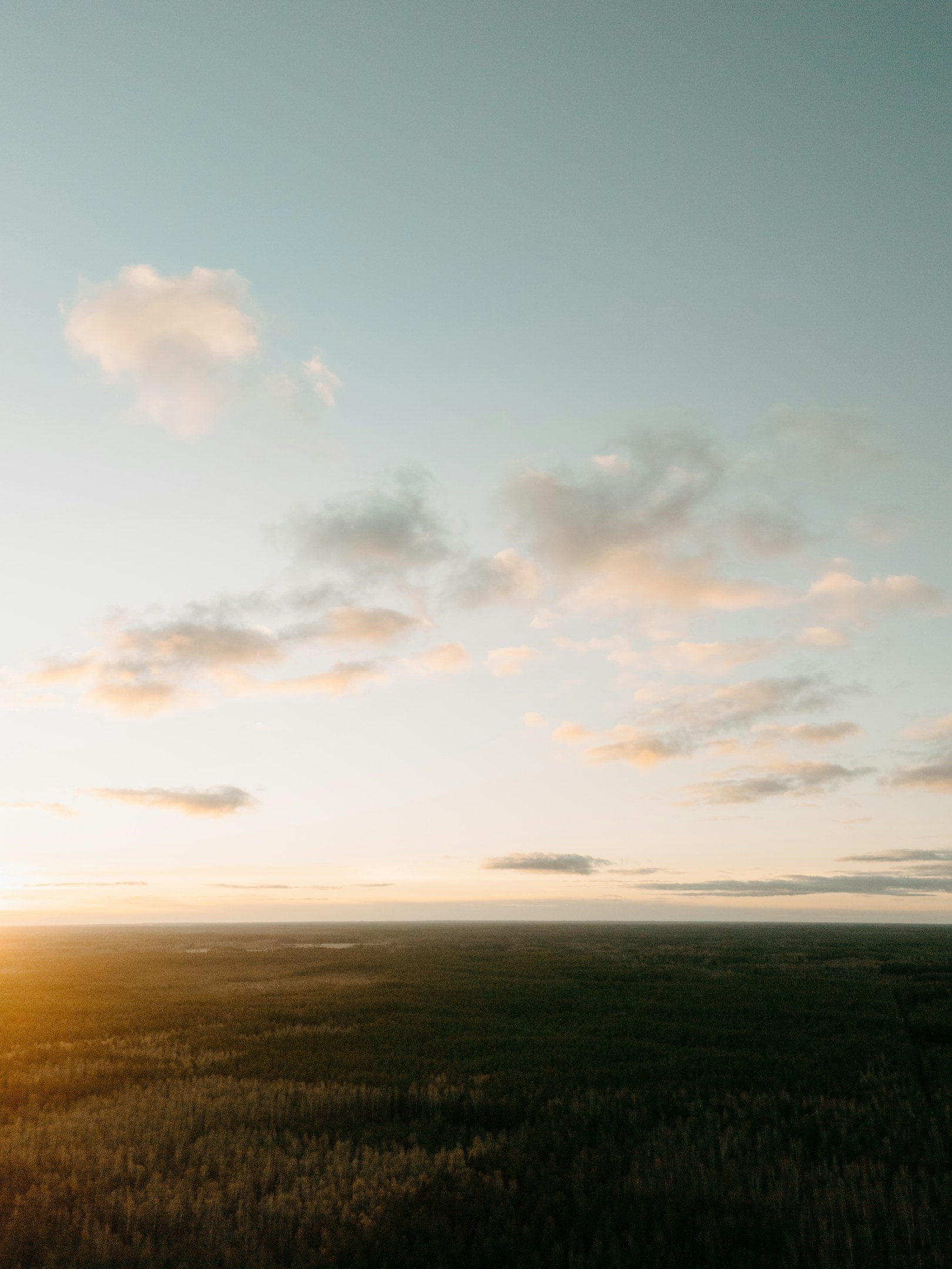 カルチャーを守り育てるための最初の一歩！crageの新卒採用の裏側
