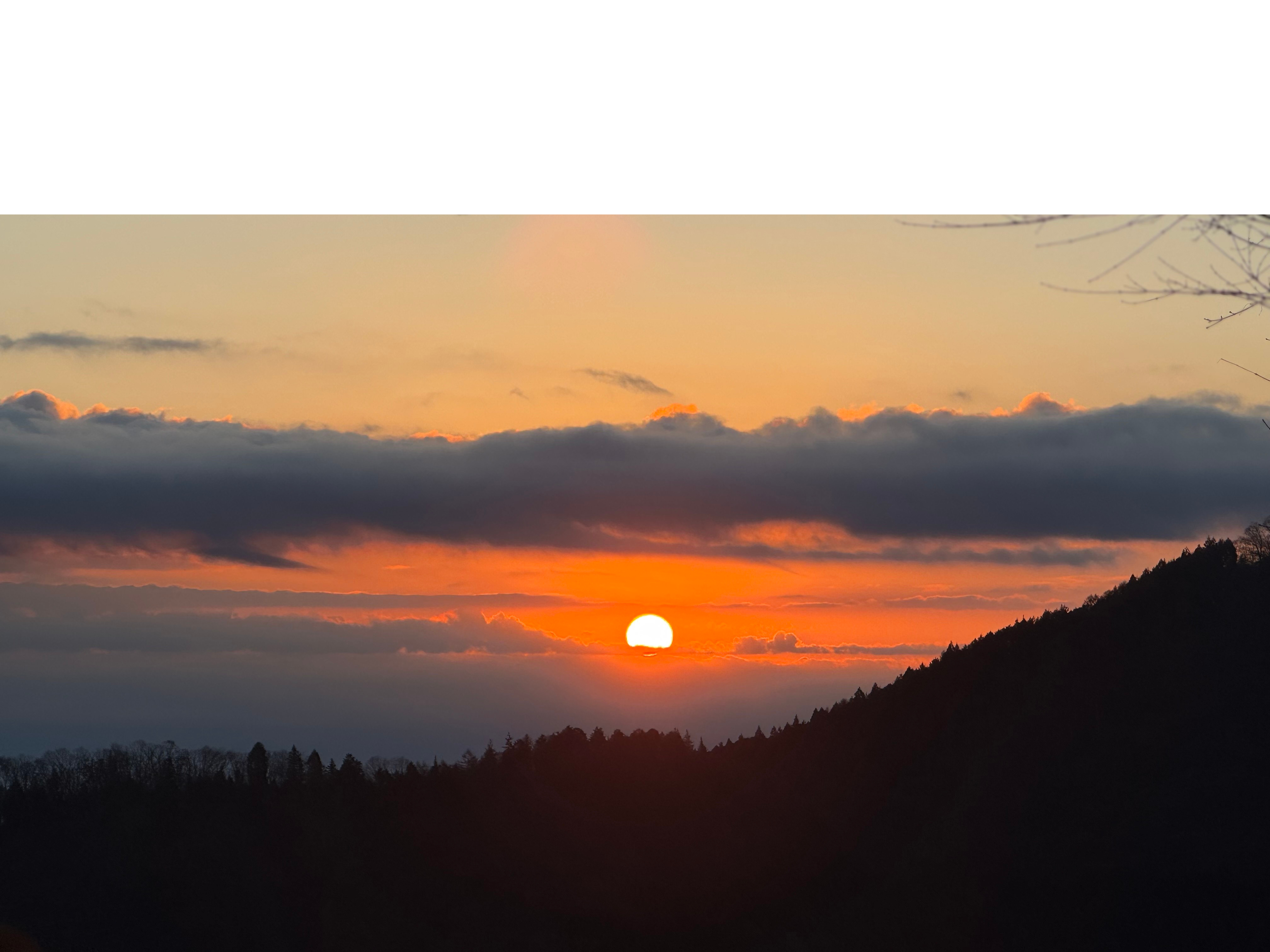 【年始のひととき】代々木八幡宮で迎える、新しい一年