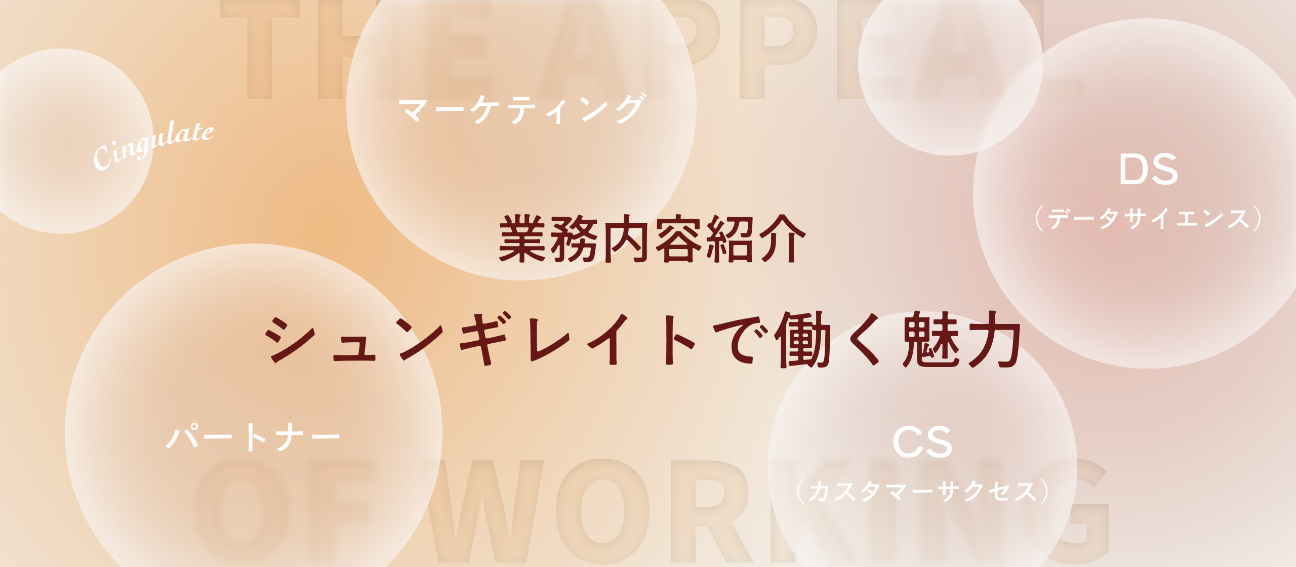 【業務内容紹介】正解なき組織課題に、科学と熱量で挑む。「信頼」を実装する、シンギュレイトの4つの職種