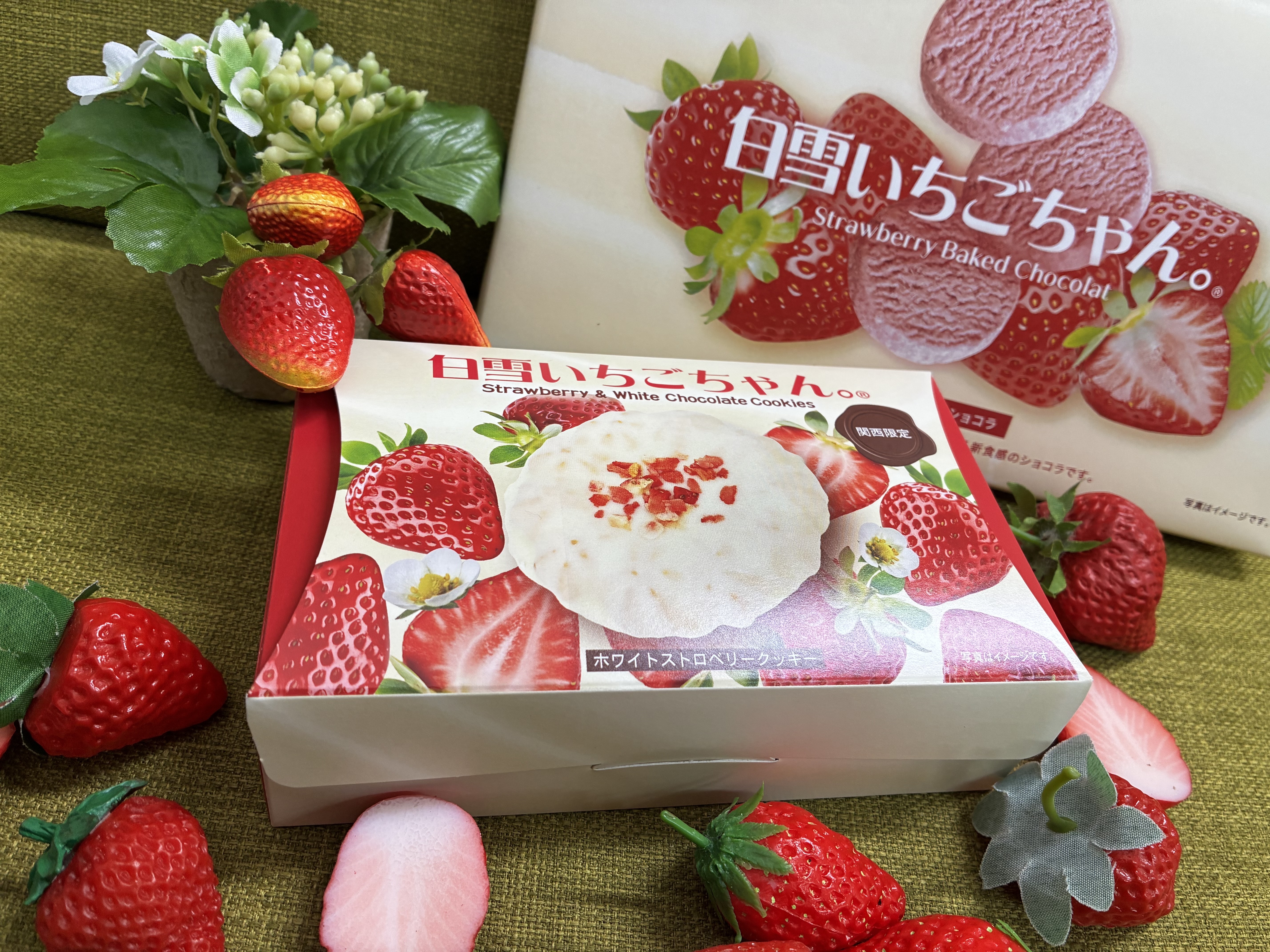 商品企画チームの​仕事│初めての​オリジナル商品が​ついに​完成！