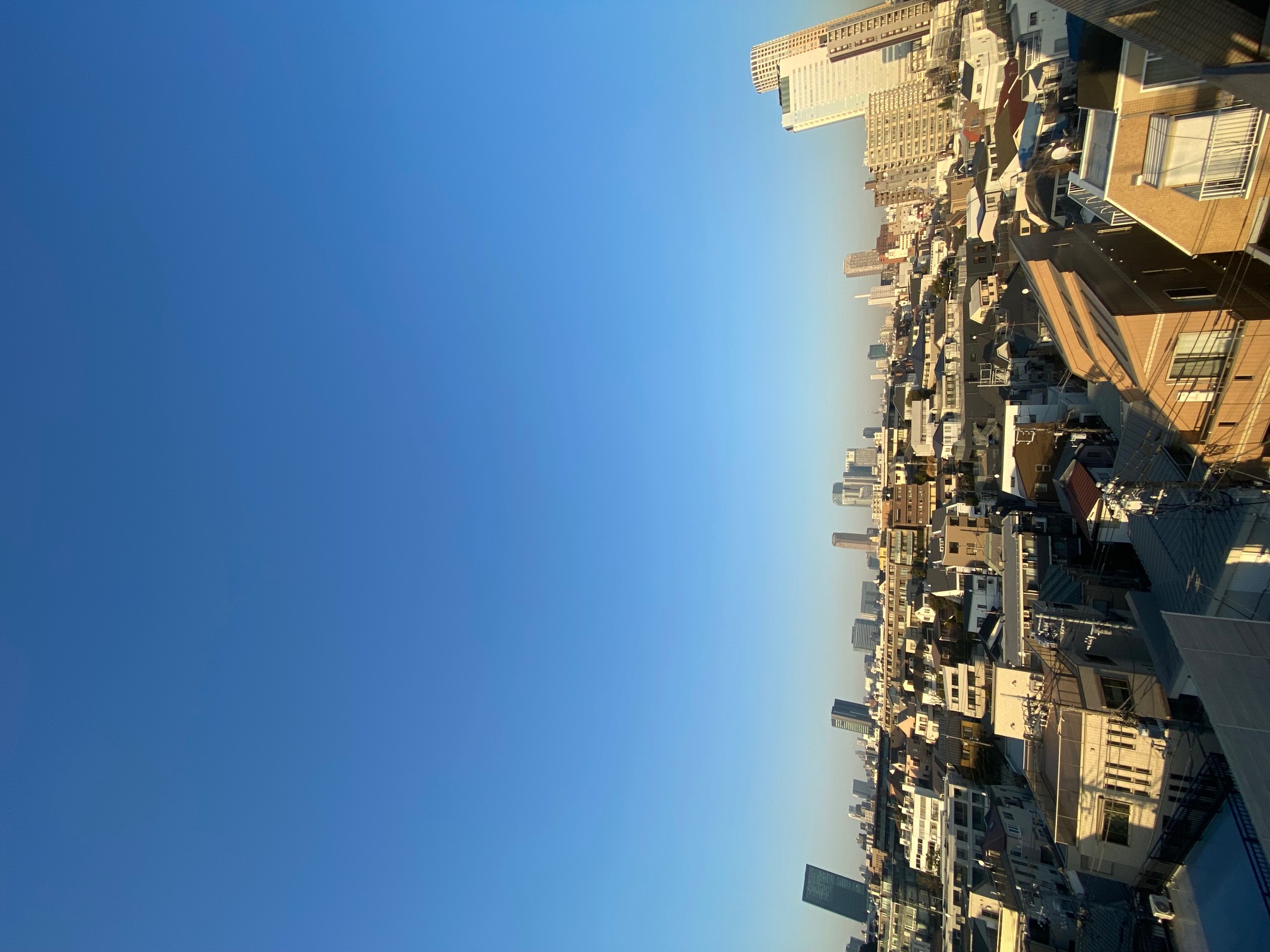 開拓と日々吸収