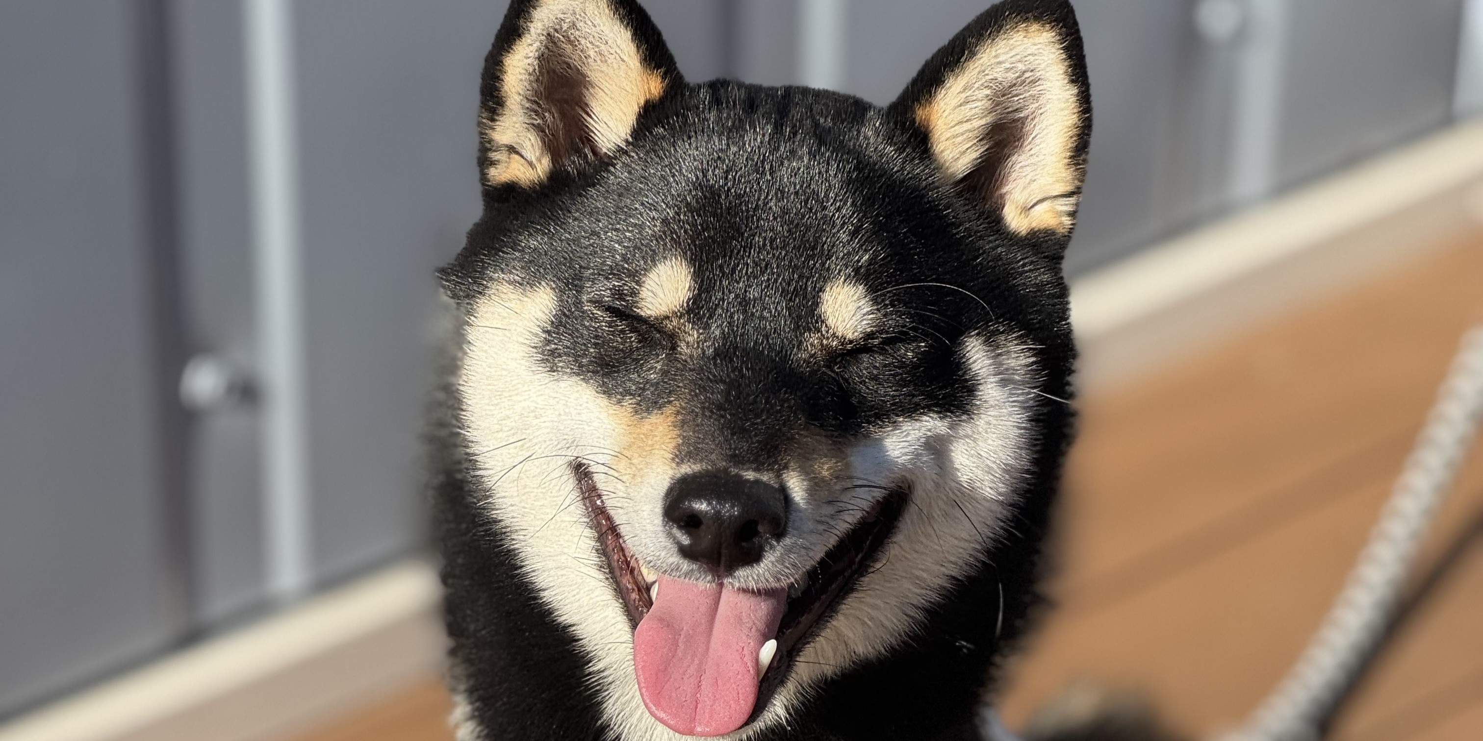 社員犬・タローと社内見学しませんか？(工場編)