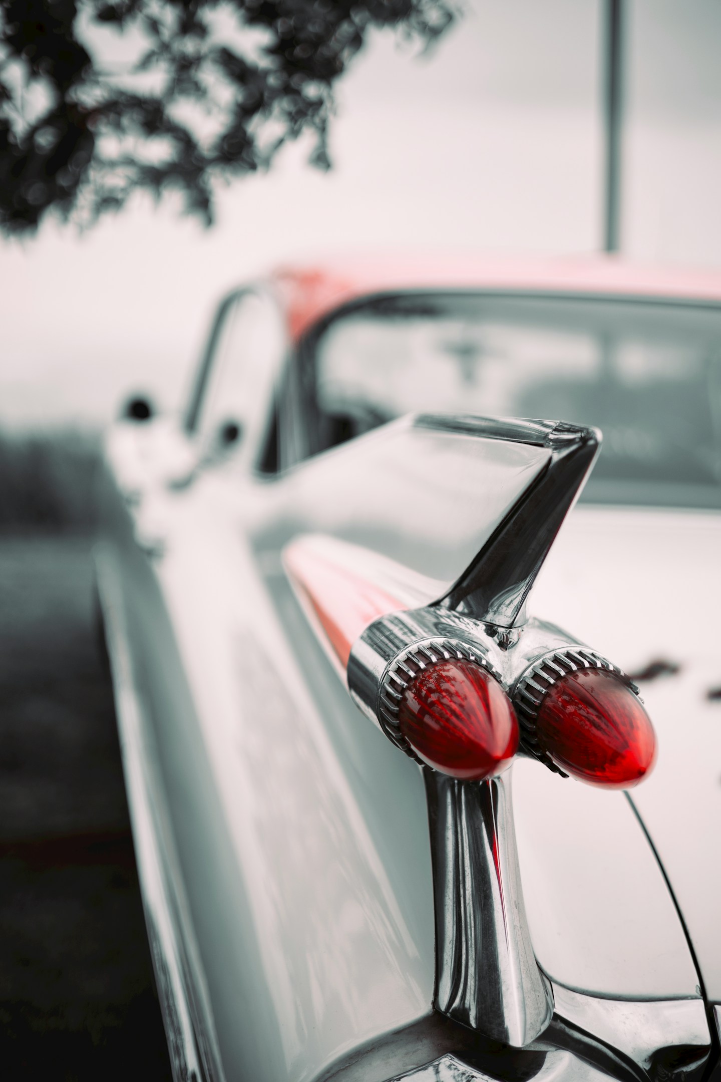 INPA【2025年振り返り】