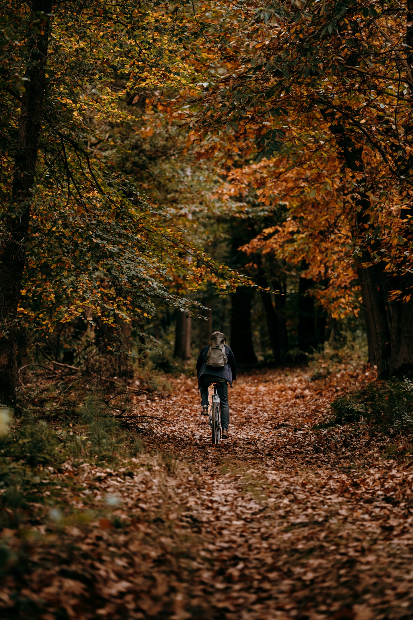 【インタビュー#2】営業として“通用する力”を、本気で身につけたかった。