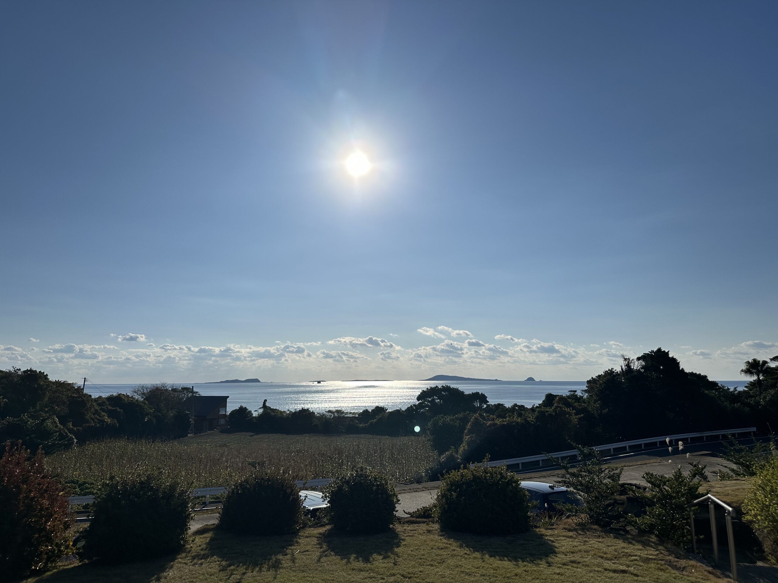 社会人1年目の冬休み