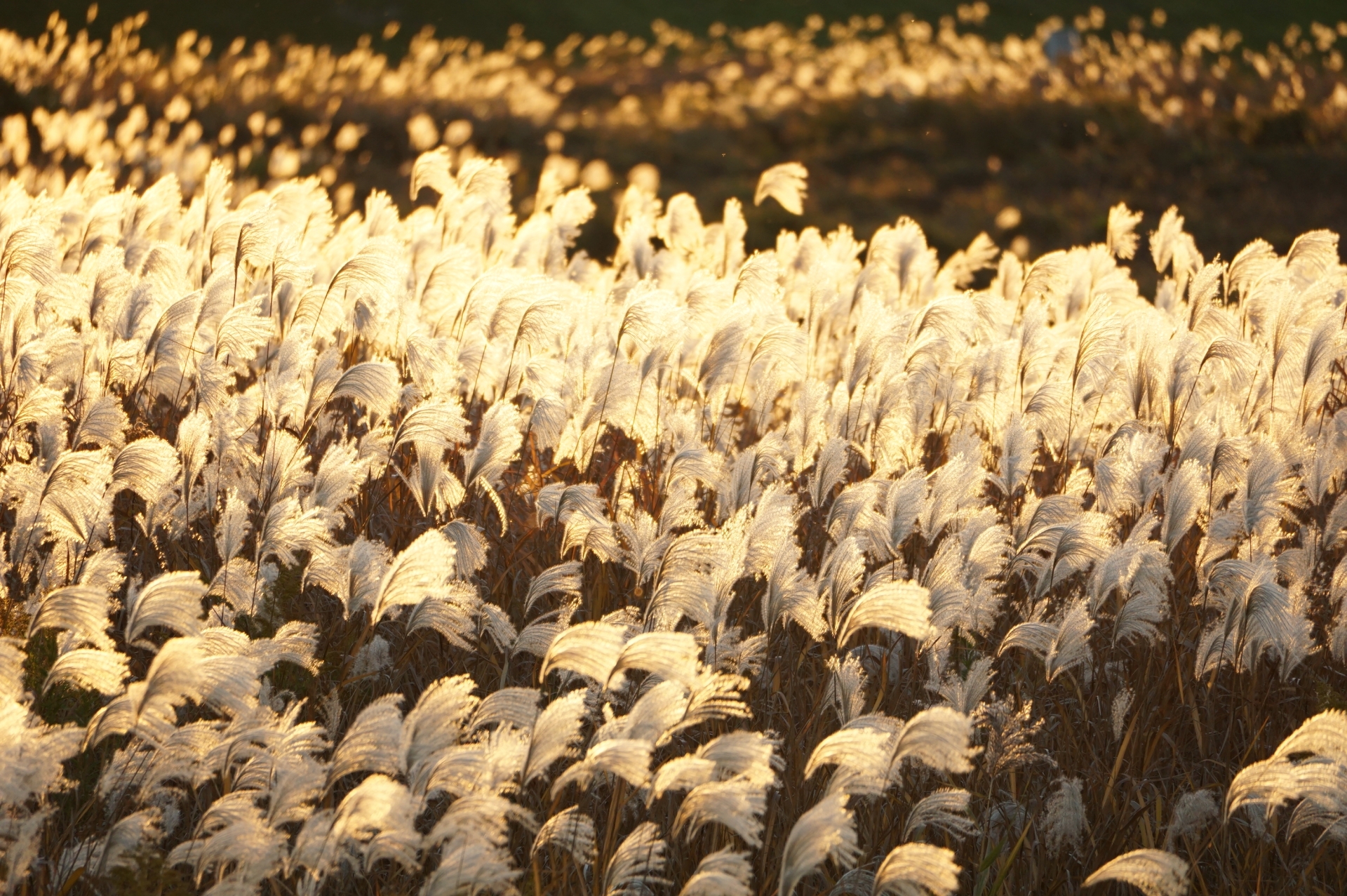 デザイナーとしてできる事・大切にしている事