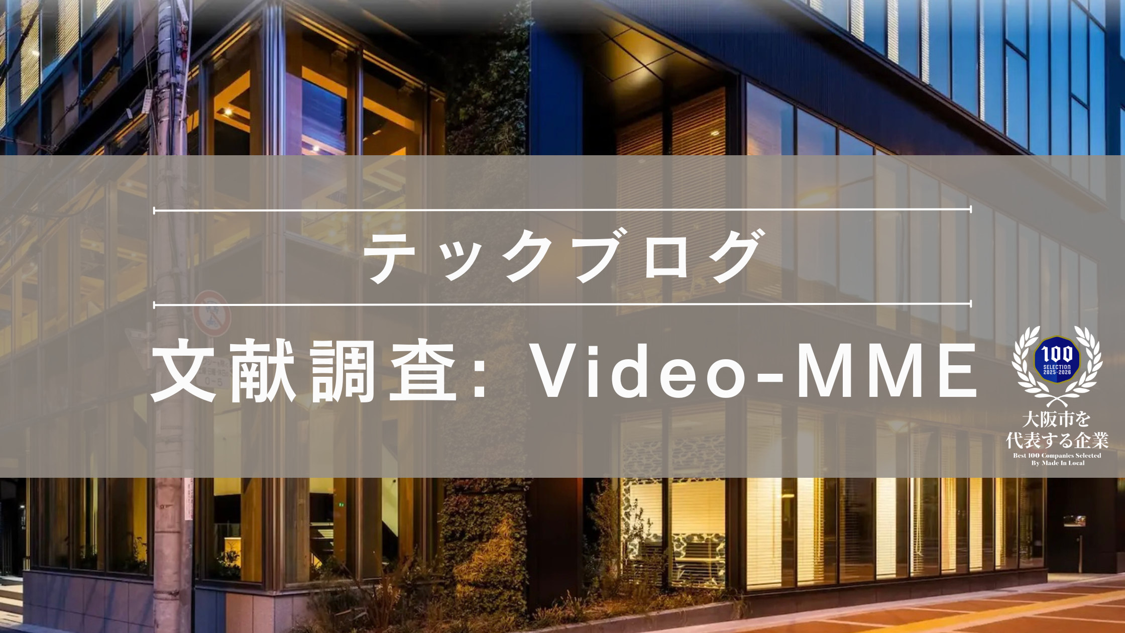 文献調査: Video-MME