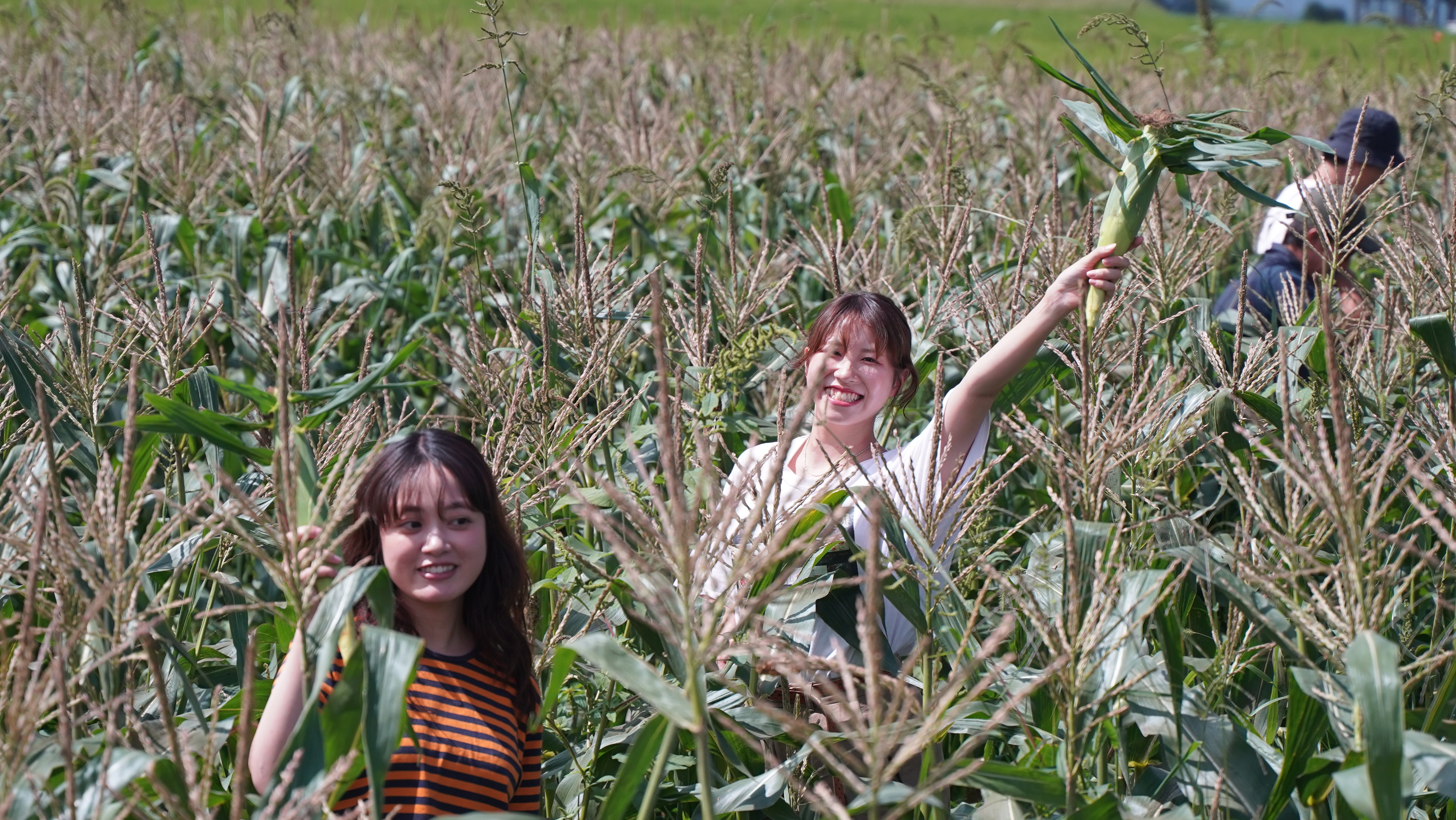 [SWITCH STAND]とあるストアディレクターの一日...