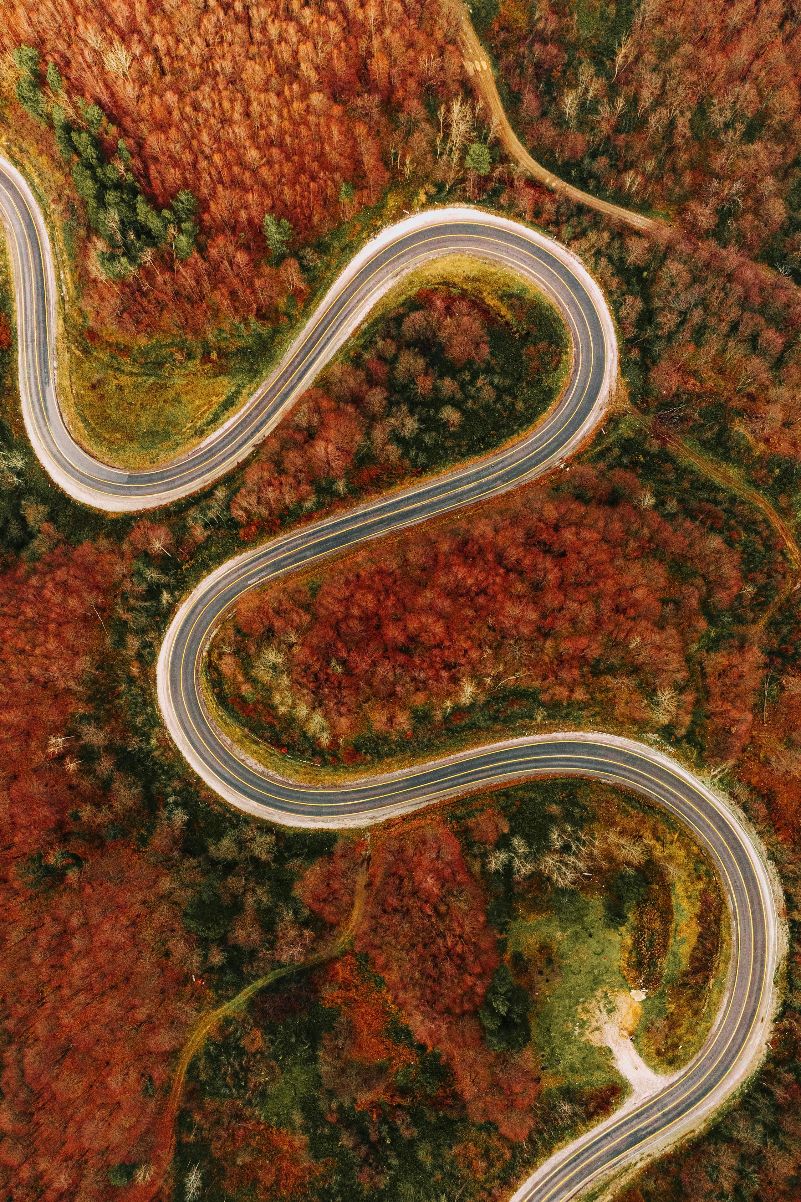 うまくいかなかった仮説と、向き合い続けた話。