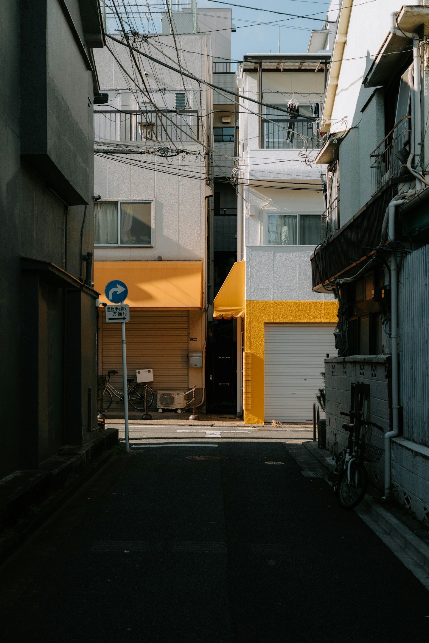 リアルを、分かりやすく届ける