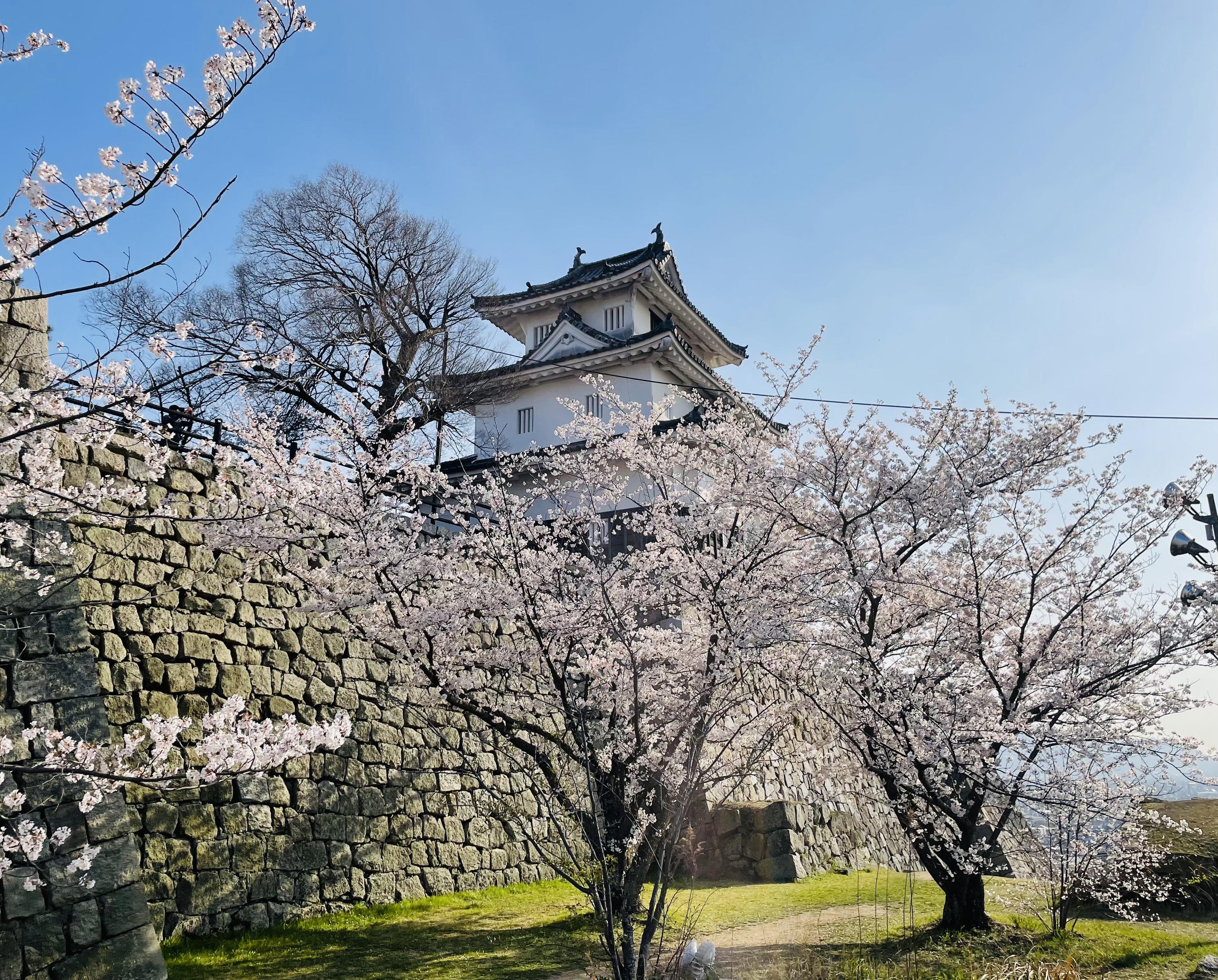 【社員紹介】開発の最前線へ飛び込んだエンジニアの物語