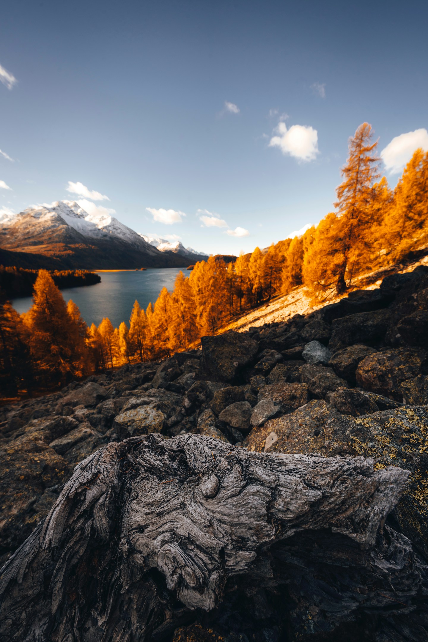 共有フォルダを「迷宮」にしない。バックオフィスの足元を支える、私の「コックピット計画」始動。