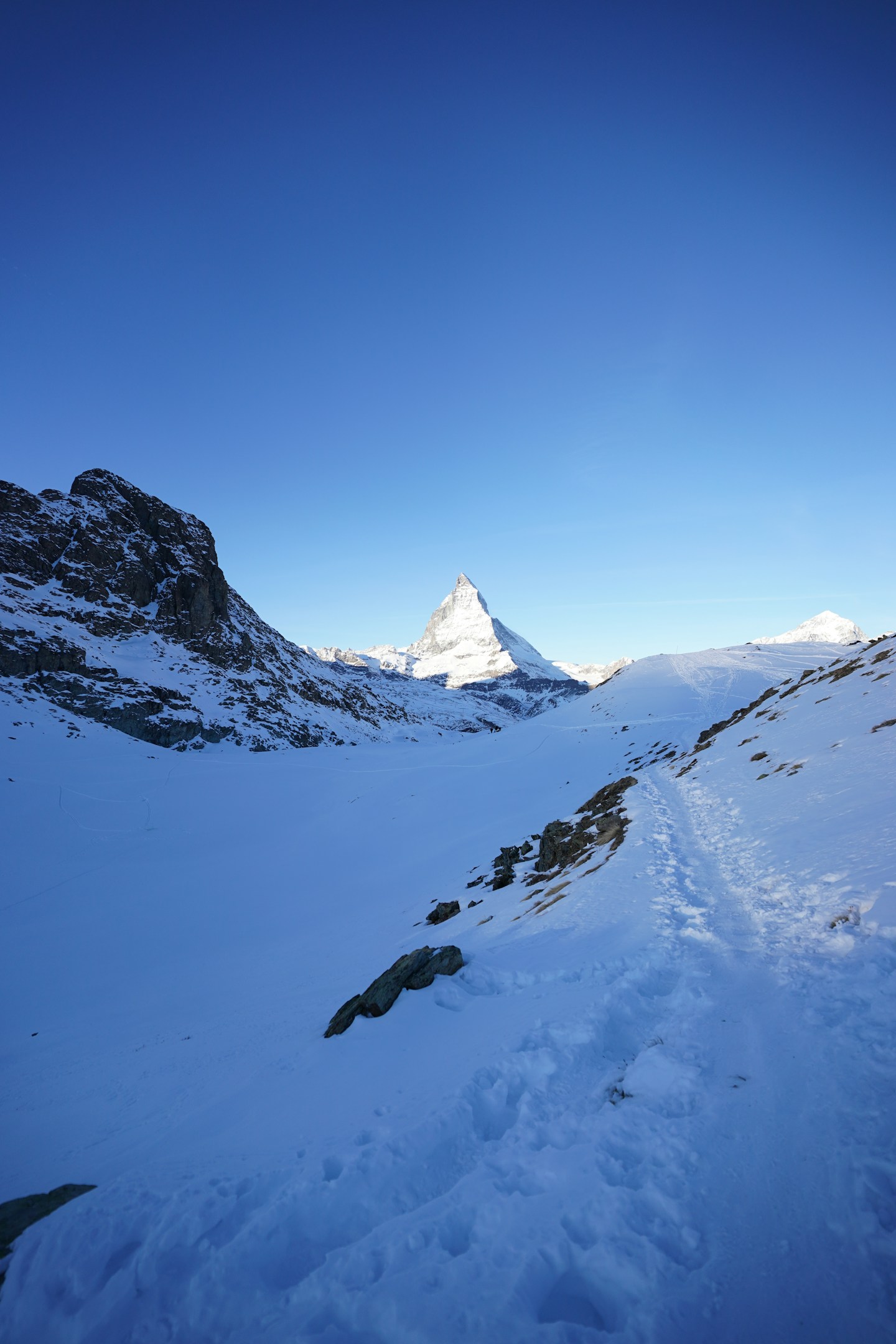 ライター「こまつ」の自己紹介｜迅速・丁寧・正確な執筆でビジネスを加速させるパートナー