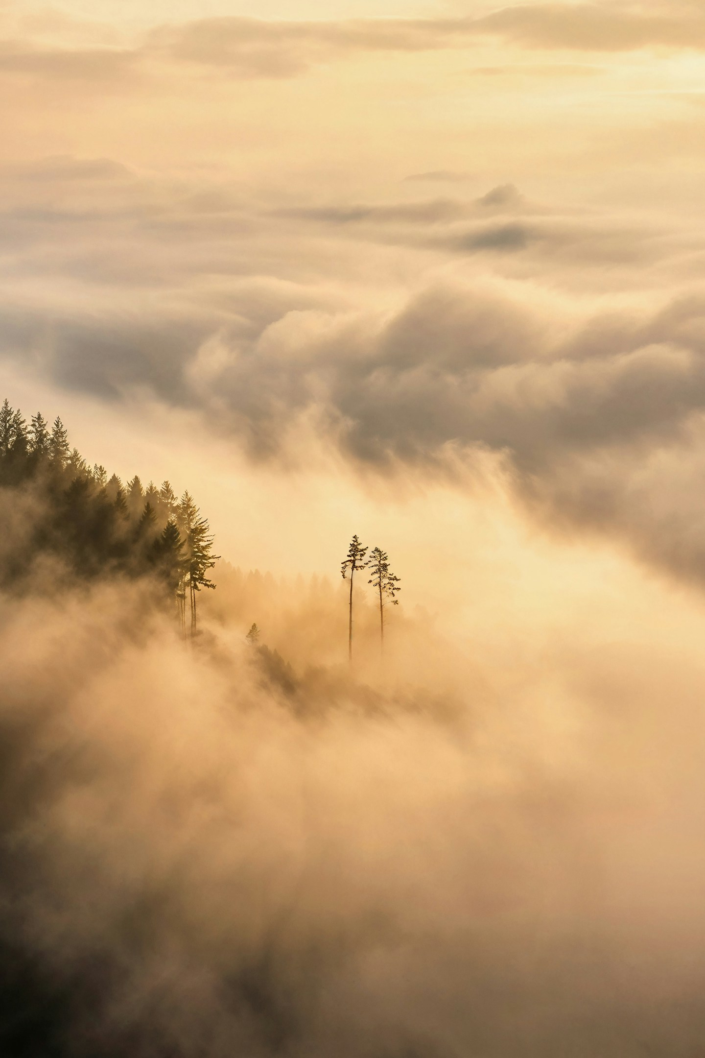佐保亜都夢｜クライアントの成果が自分の喜びになる。それがフリーランスの醍醐味