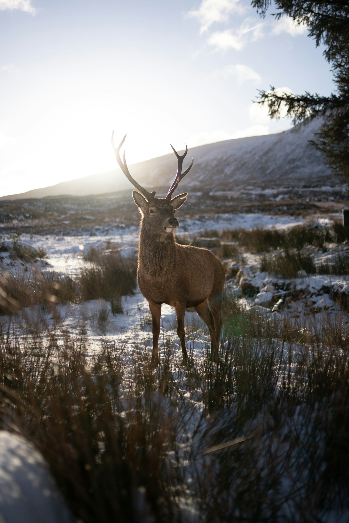 VOGUE風30の質問答えてみた |小池碧（みどり）編