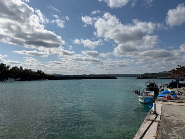 沖縄からの仕入れがはじまりました！