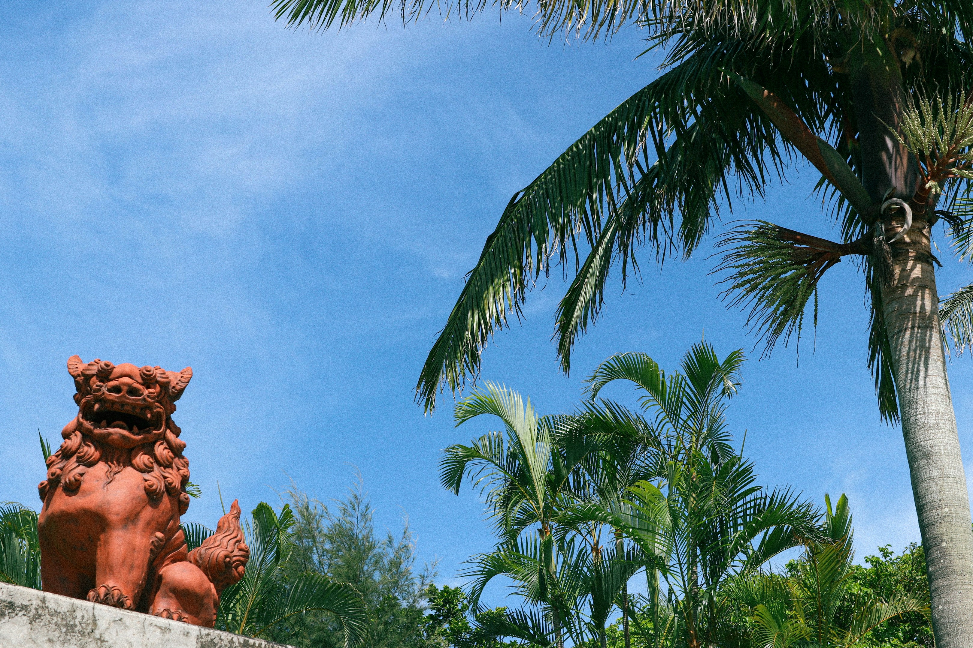 沖縄北部のジャングルの山の上でLP/WEBデザインをする