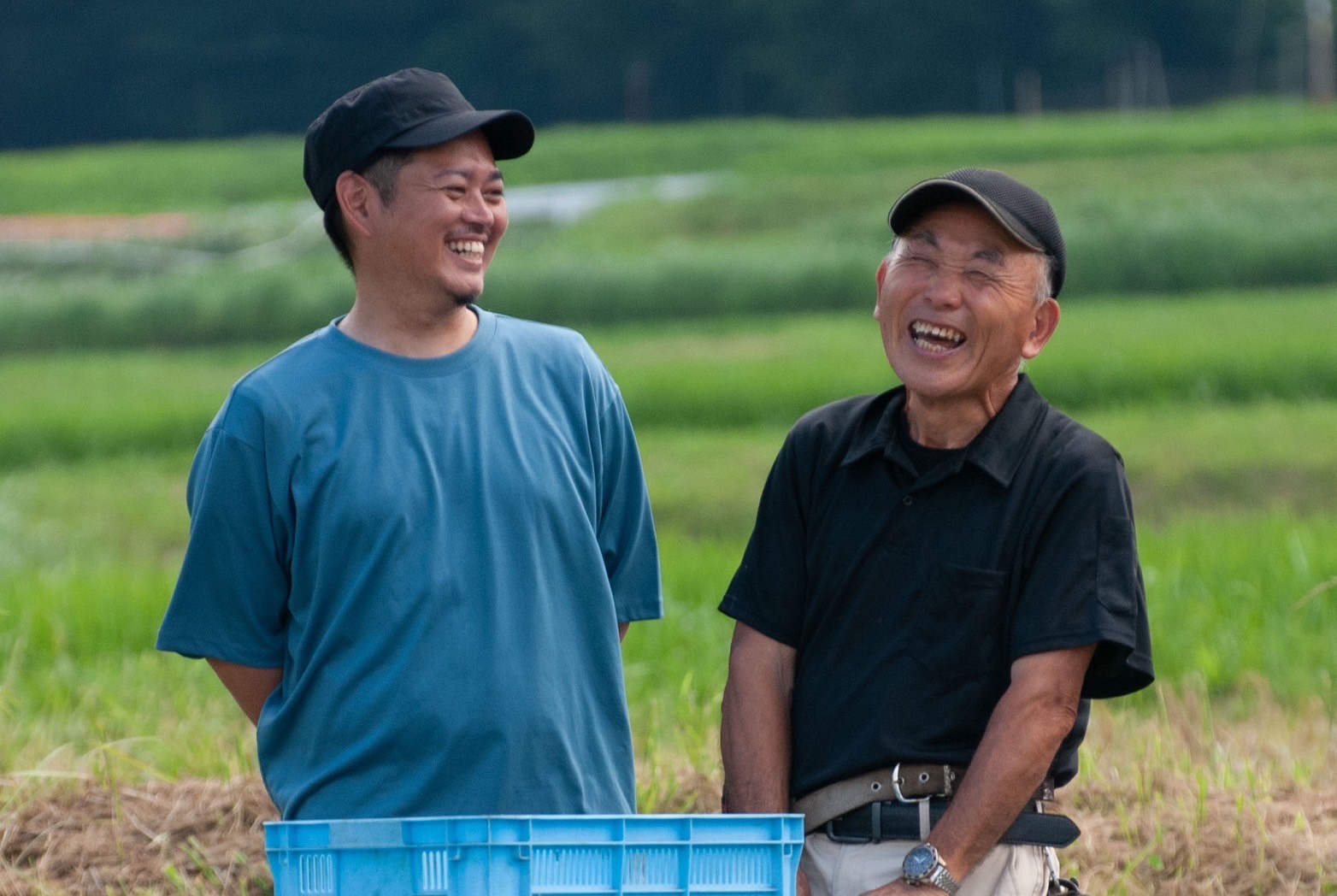 簡単な自己紹介