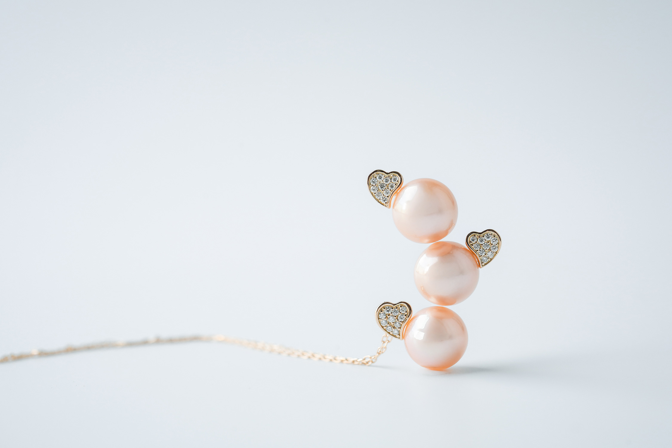 2026 Spring Collectionご紹介🌷