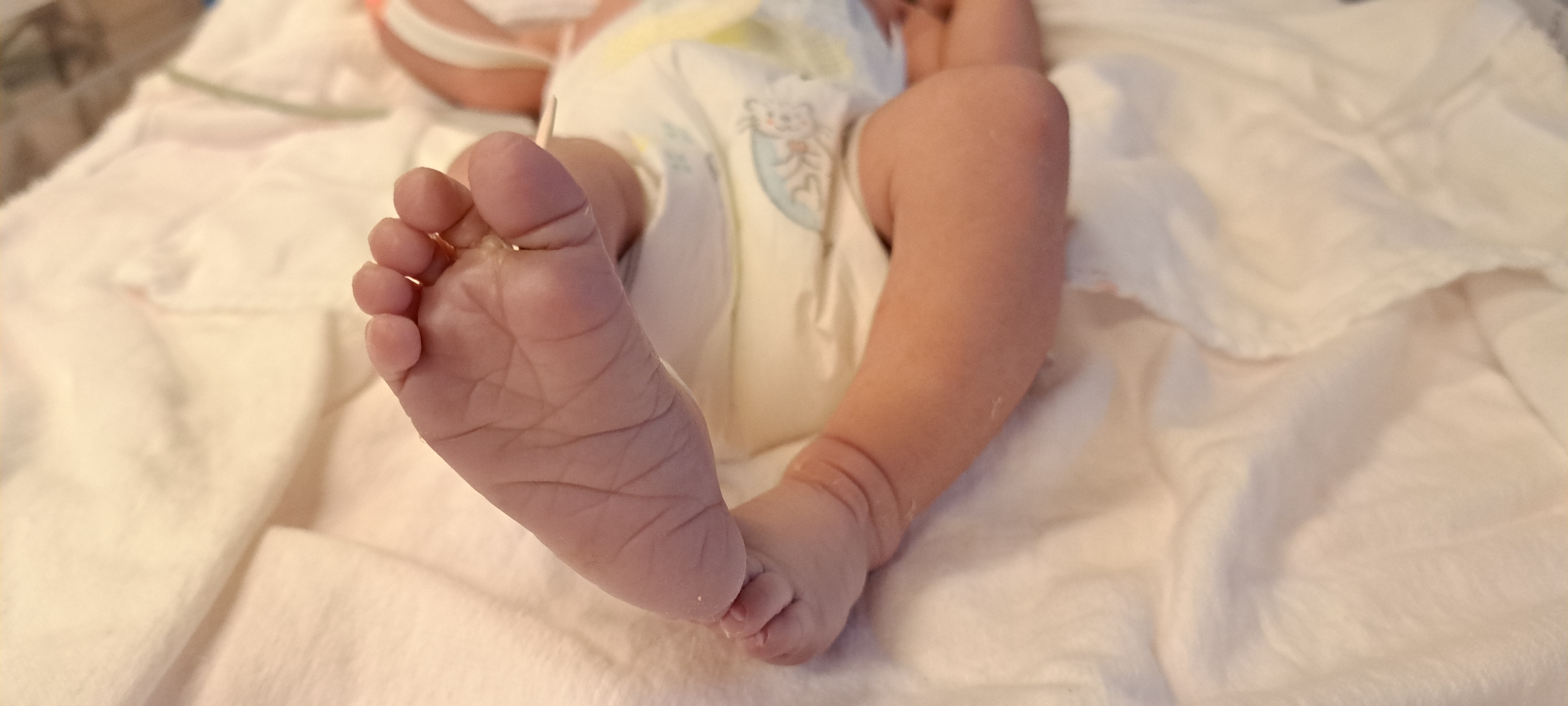 育児とアルバイト、そして深夜のインフラ学習が作る私の未来