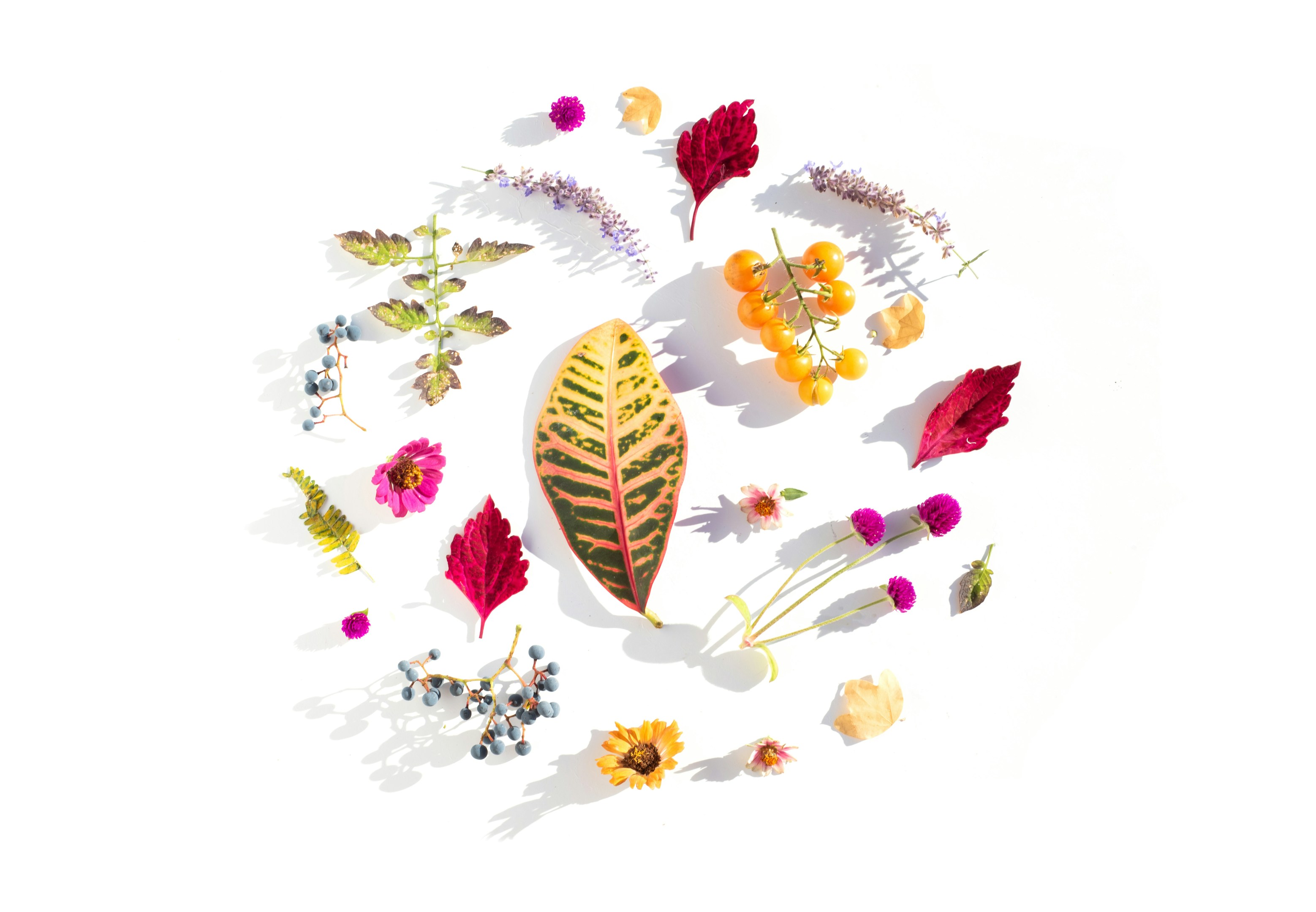 「心の色を失いかけた経験を、社会の『癒し』に変える。空間演出で、人の心に寄り添うプロを目指したい」