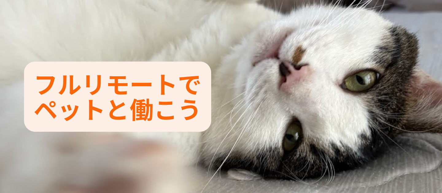 モフモフの愛猫・愛犬と一緒に働く100%フルリモートのWeLearnペット特集