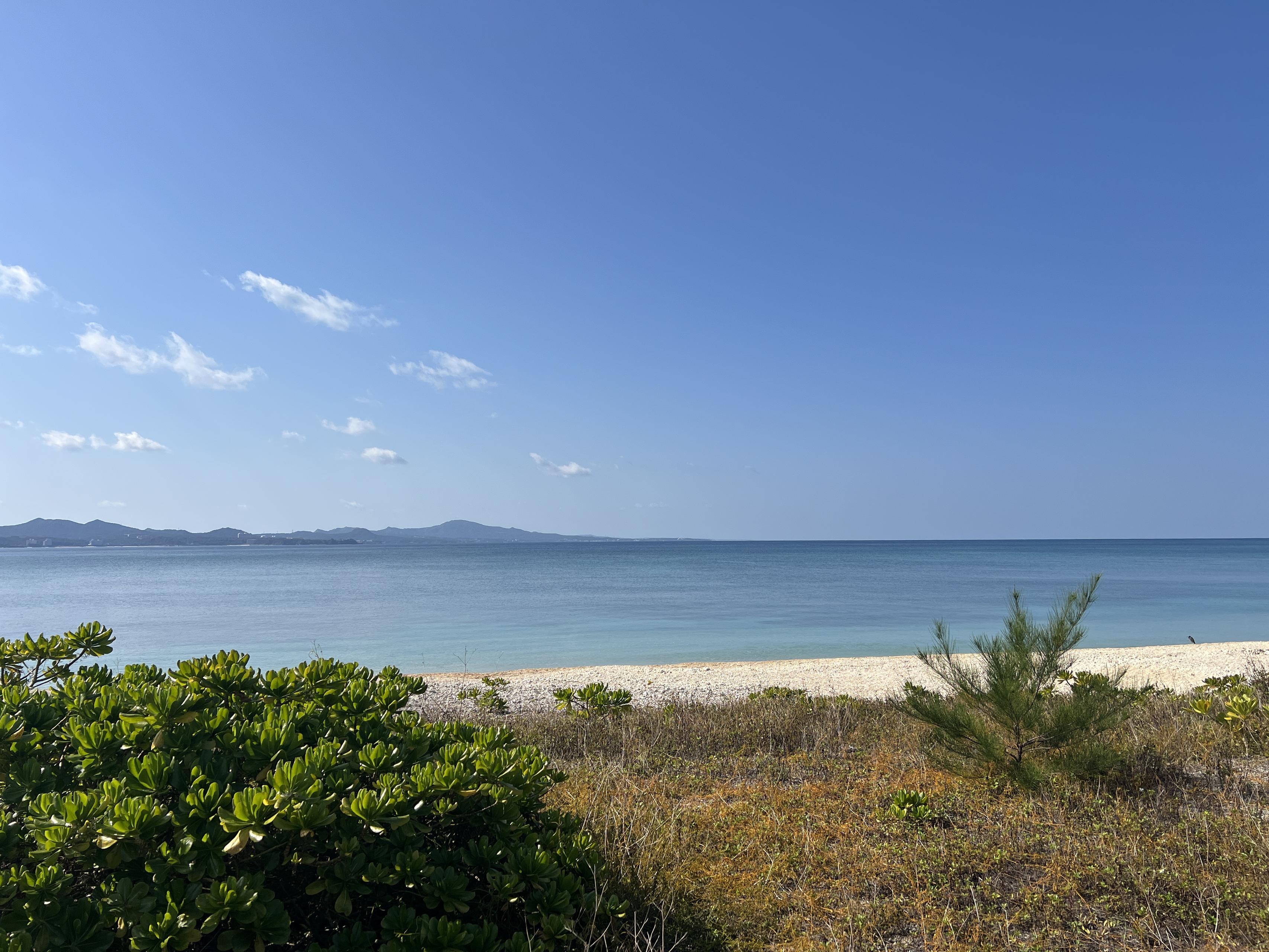 拠点は渋谷、フィールドは全国。今月、私たちがプロ野球キャンプ地の沖縄・宮崎を駆け巡る理由。