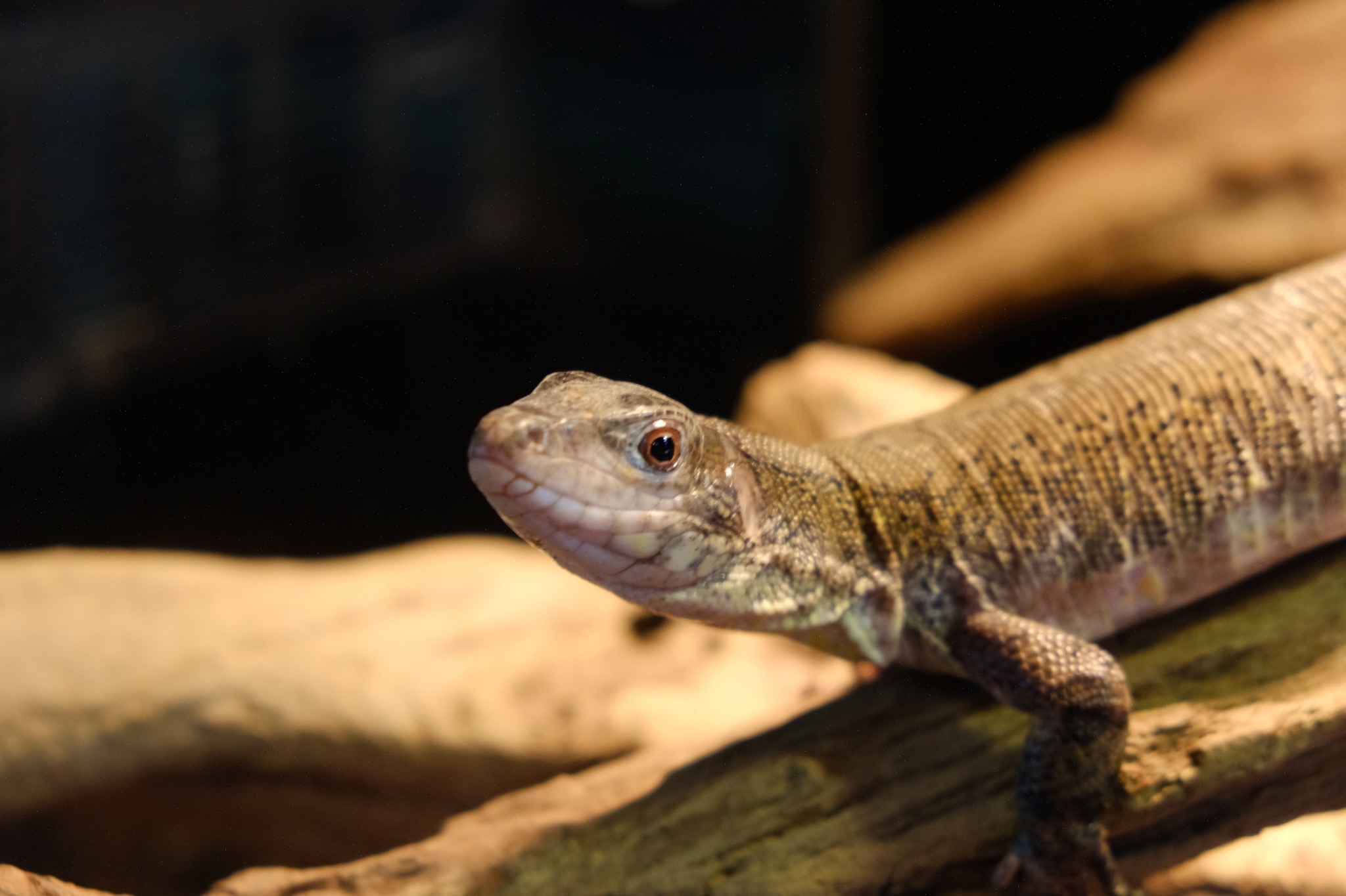 良い情報を「出しているだけ」で終わりたくない