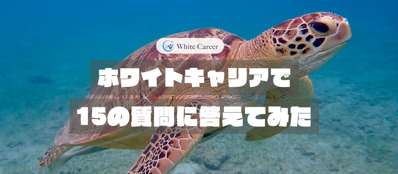 ホワイトキャリアで15の質問に答えてみた - N.Kさん