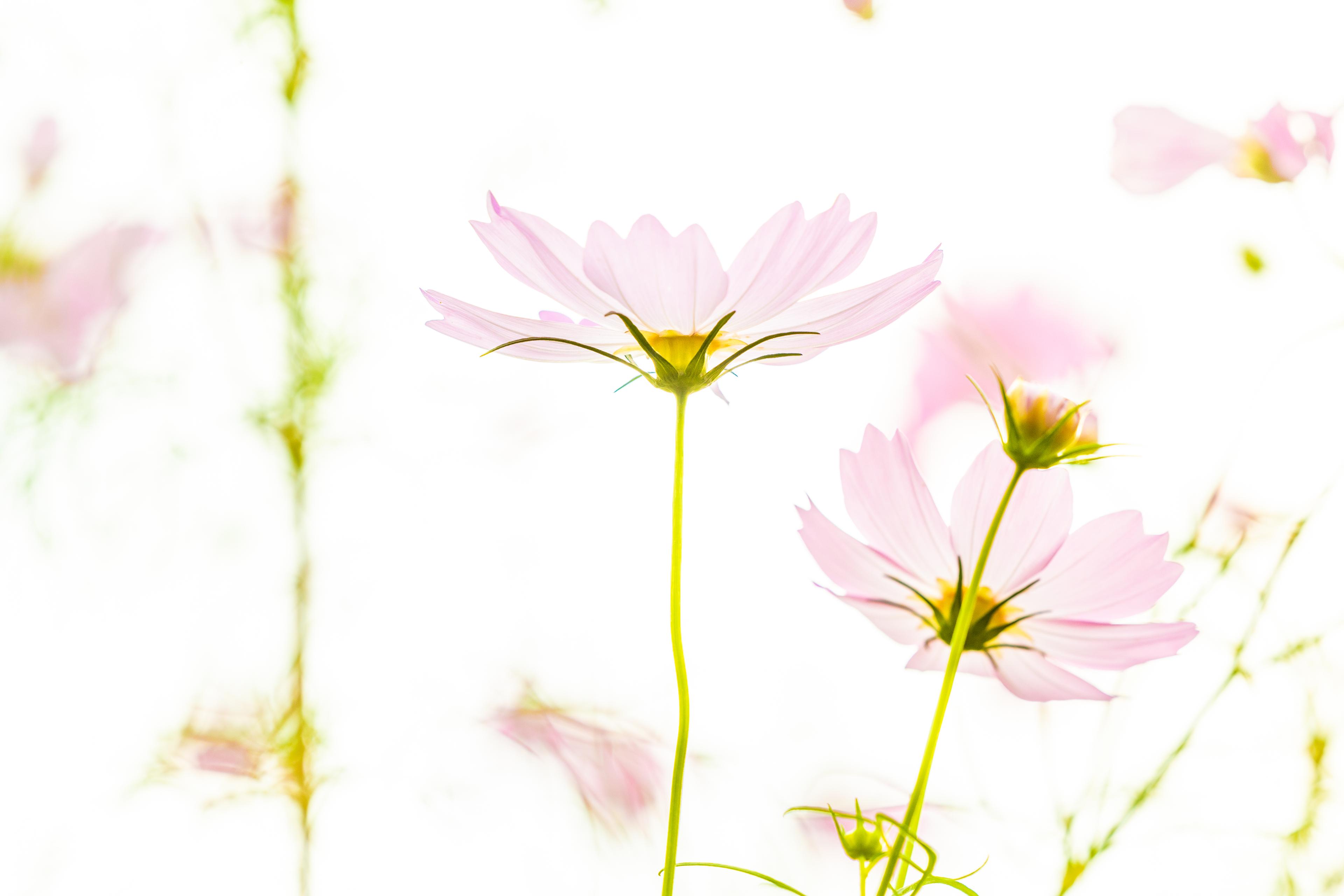 負の資産を流用した時の話