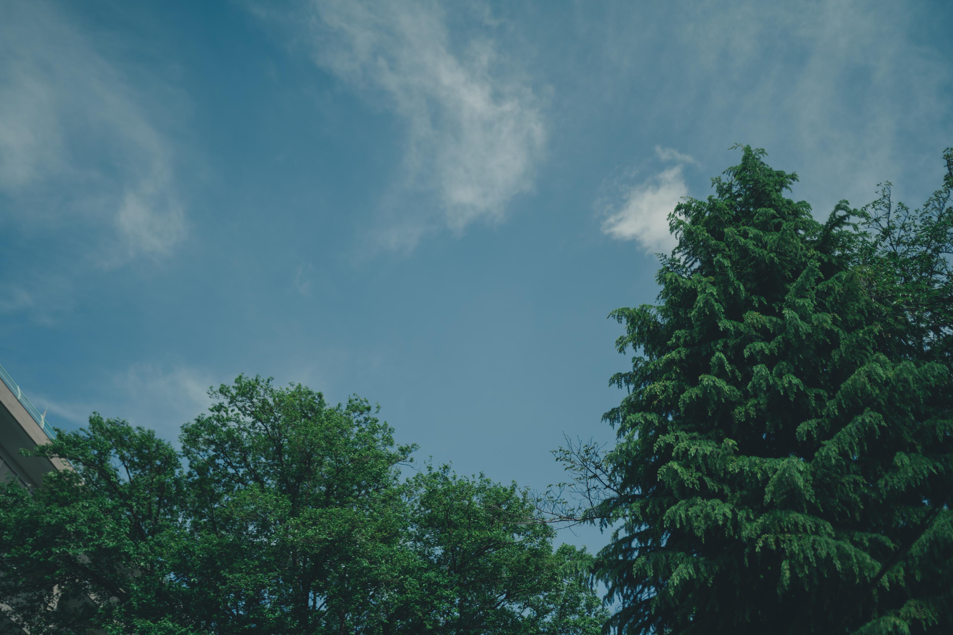 本社移転のお知らせ