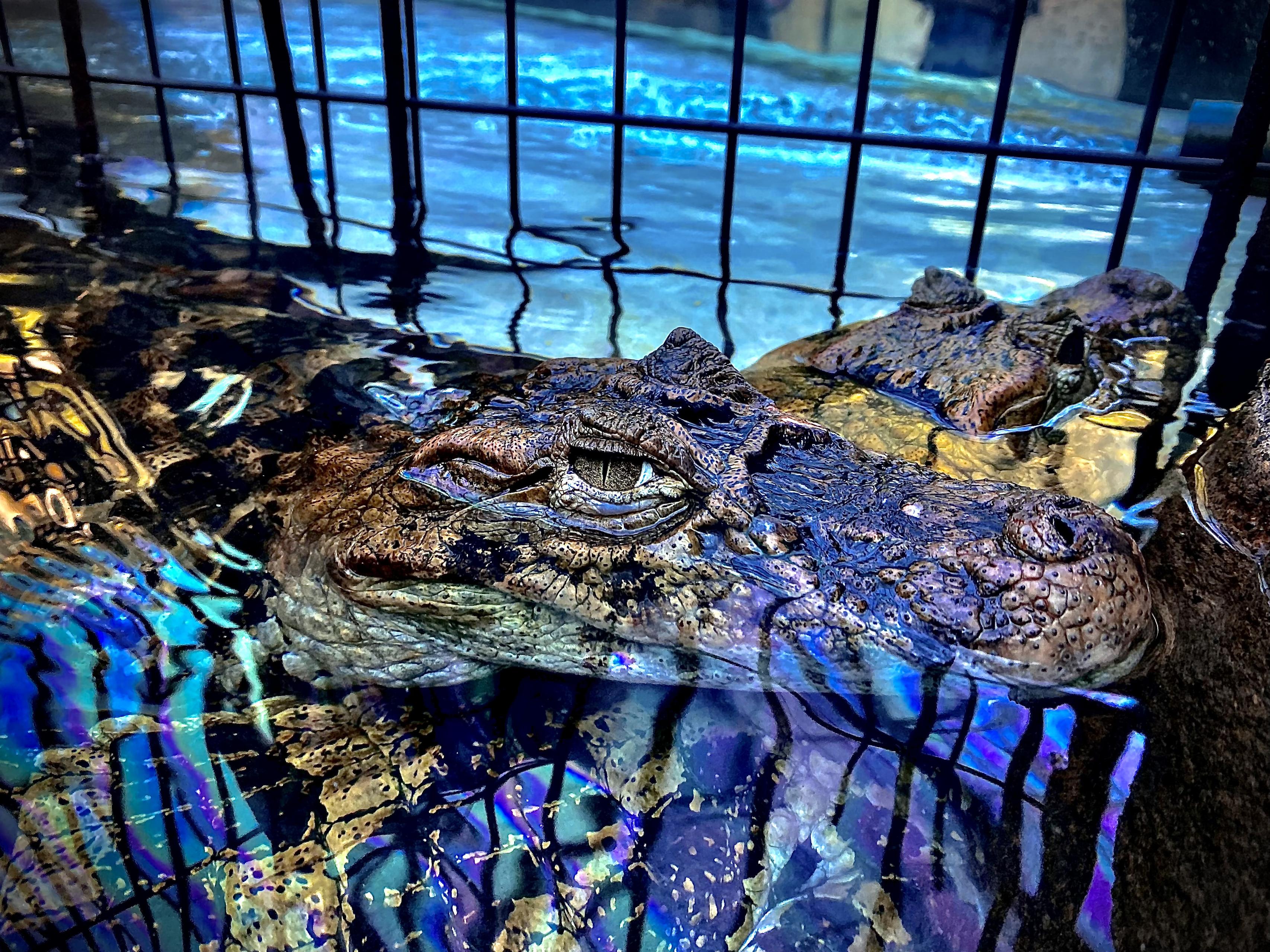 分野が変わっても、同じ構造で考えたい