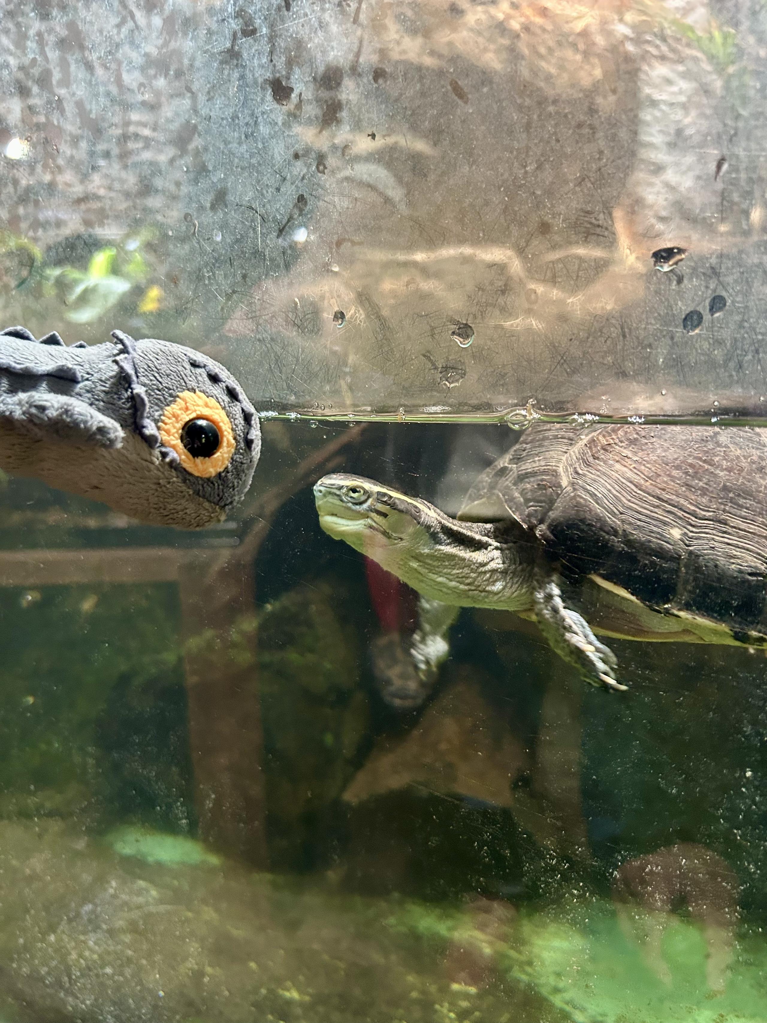 「なんかうまくいかない」を、感覚で終わらせたくない