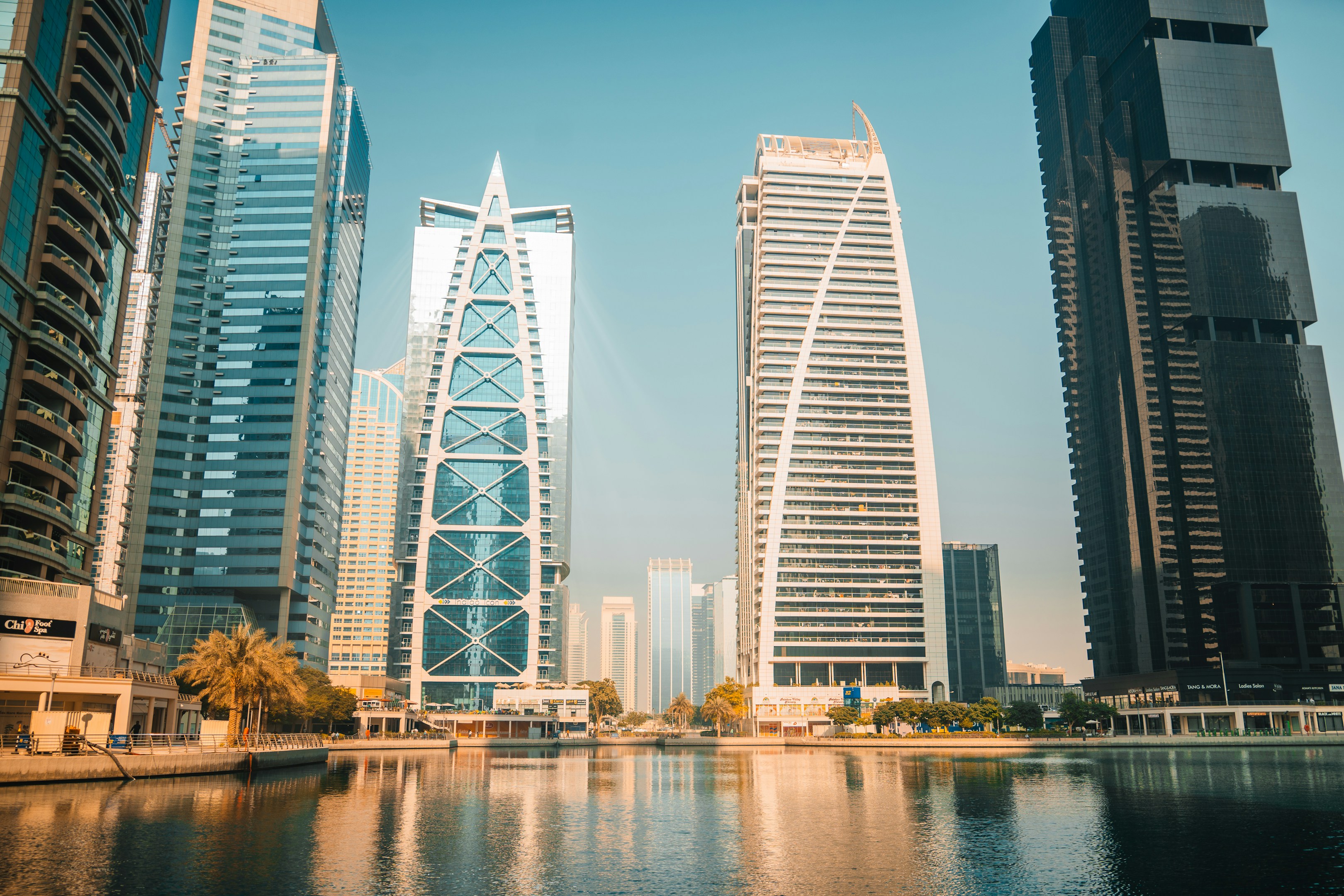 Projimo代表が語る、未来像